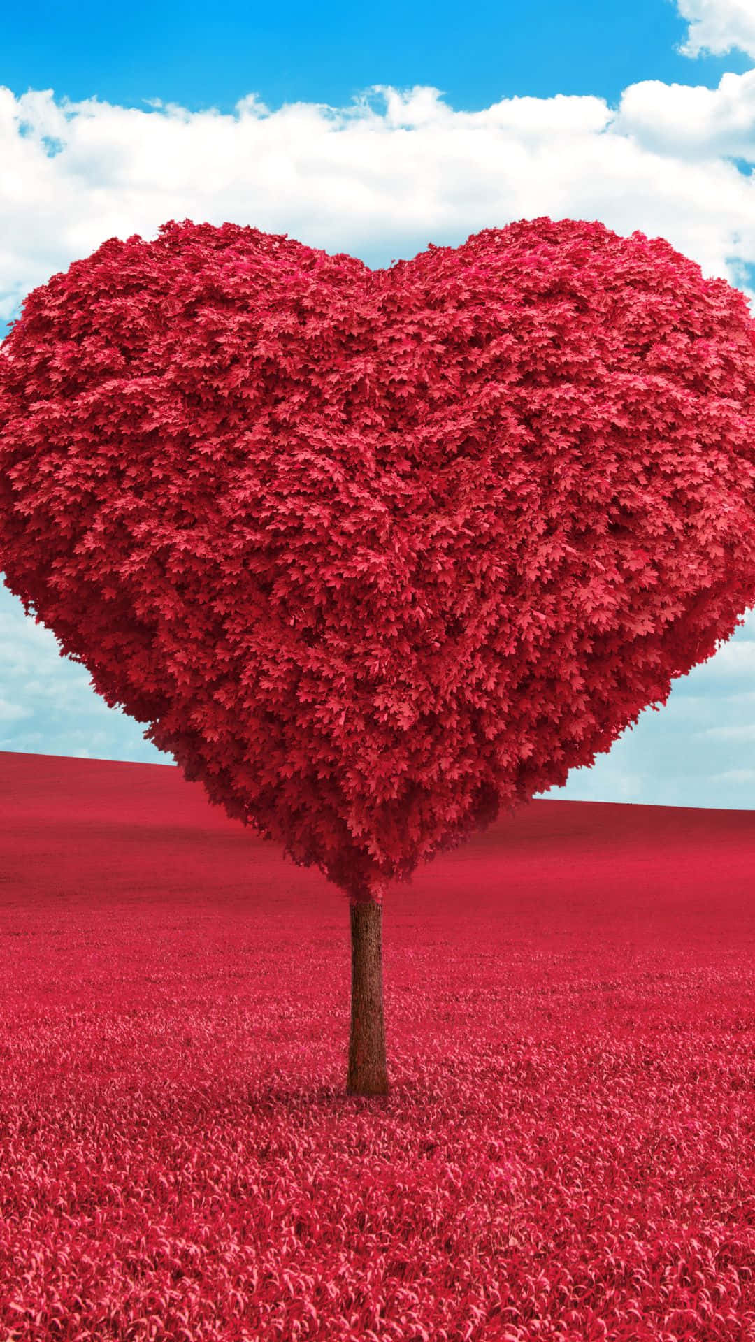 red heart shaped tree, field of matching red leaves, bright blue sky, Full HD Phone Wallpaper