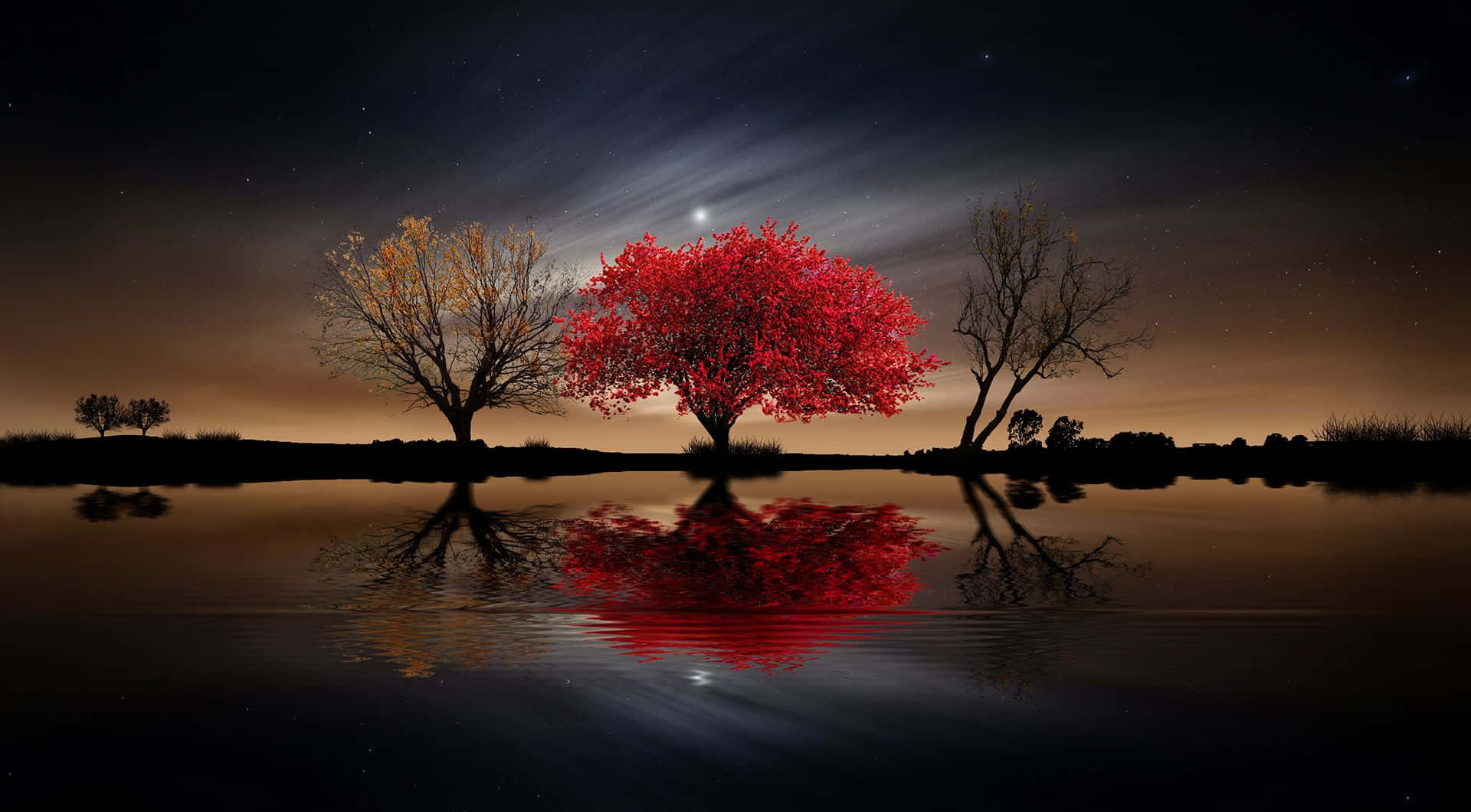 Red Tree, vibrant red tree, water, Full HD Desktop Wallpaper