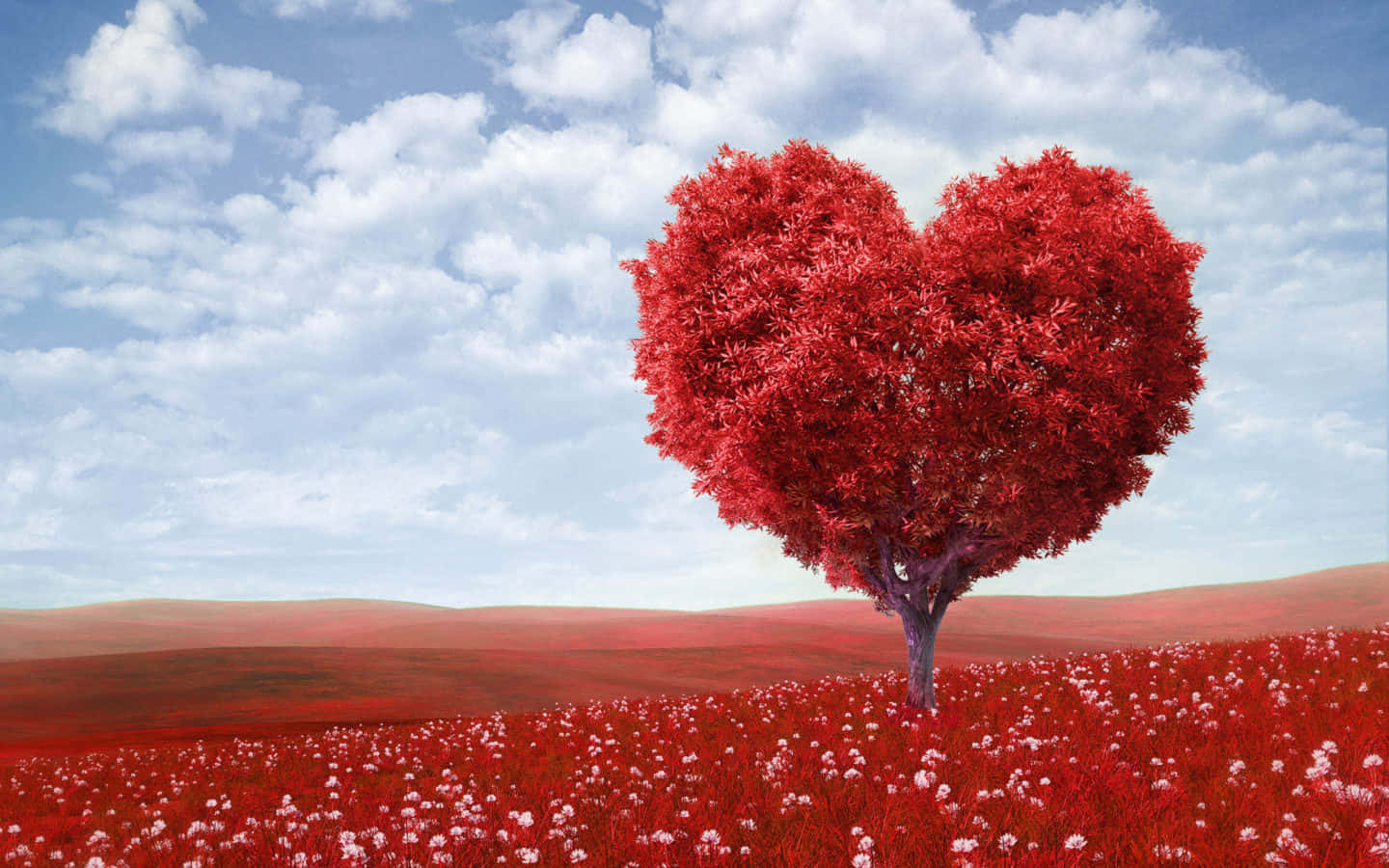 Red Tree, blue sky, fluffy clouds, HD Desktop Wallpaper