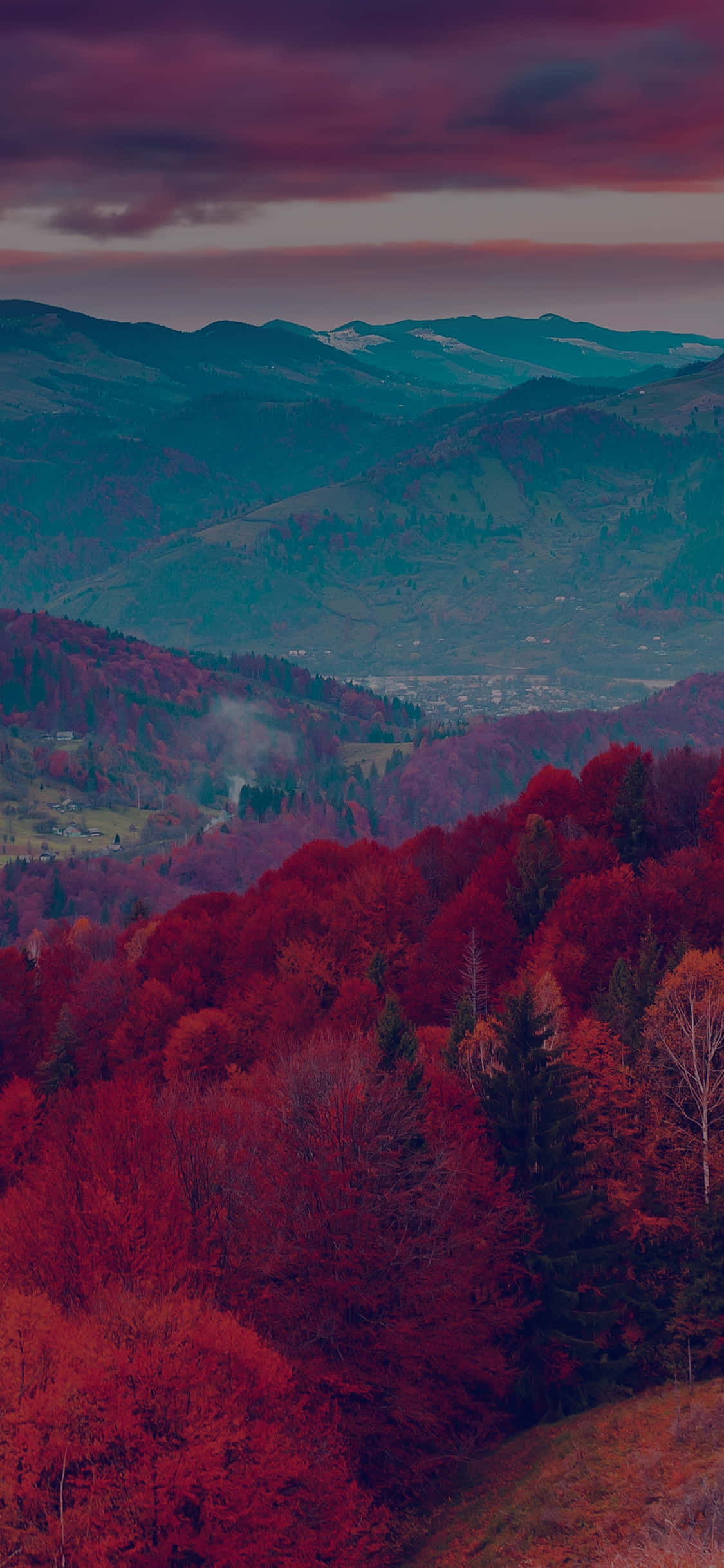 Red Tree, vibrant red forests, rolling hills, Full HD Phone Wallpaper