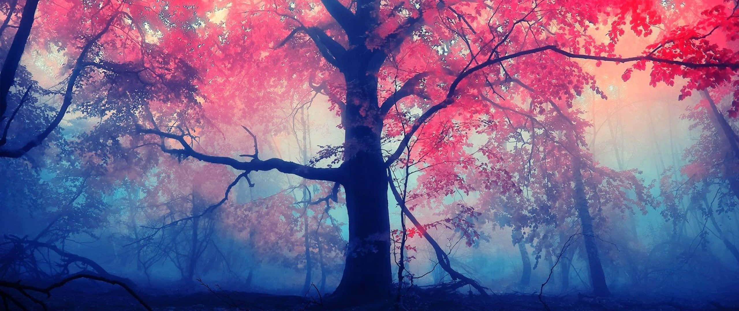 Red Ultra Wide HD, fiery red leaves, misty forest, 2K Desktop Wallpaper