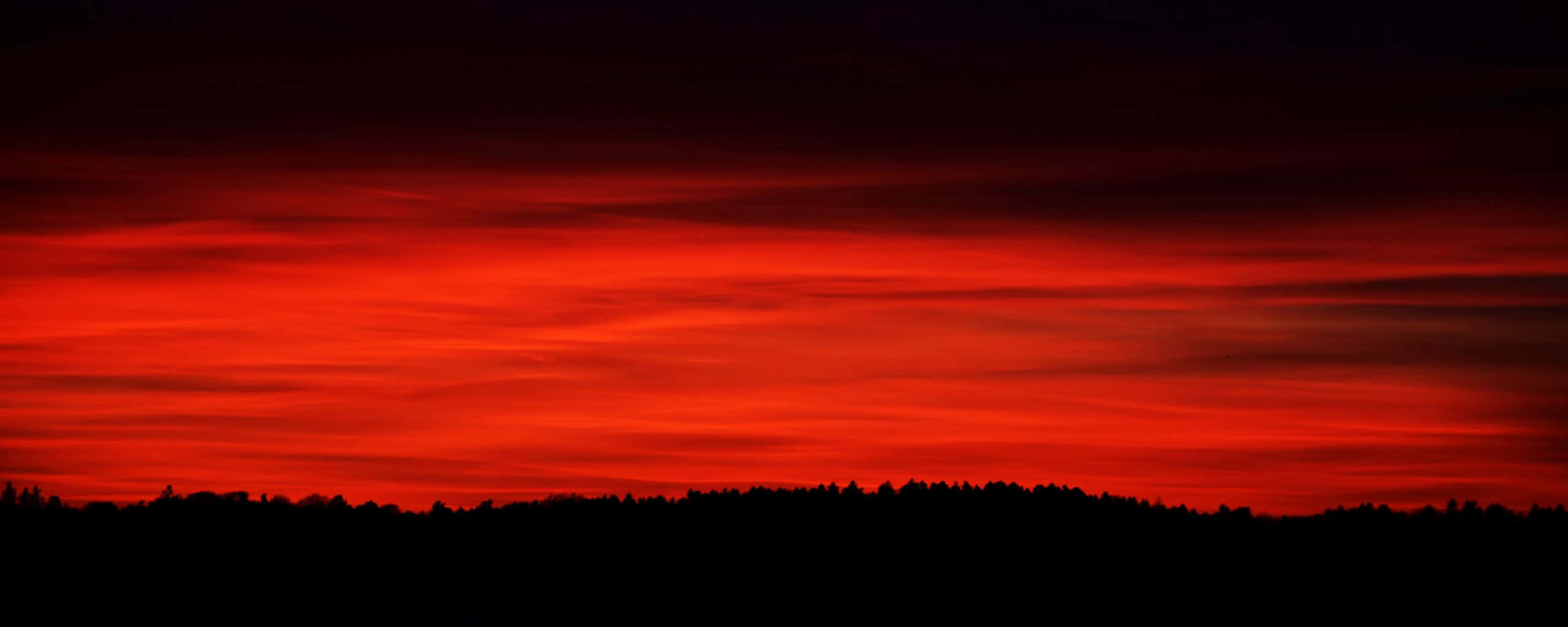 Red Ultra Wide HD, fiery red sunset, dark forest silhouette, 2K Desktop Wallpaper