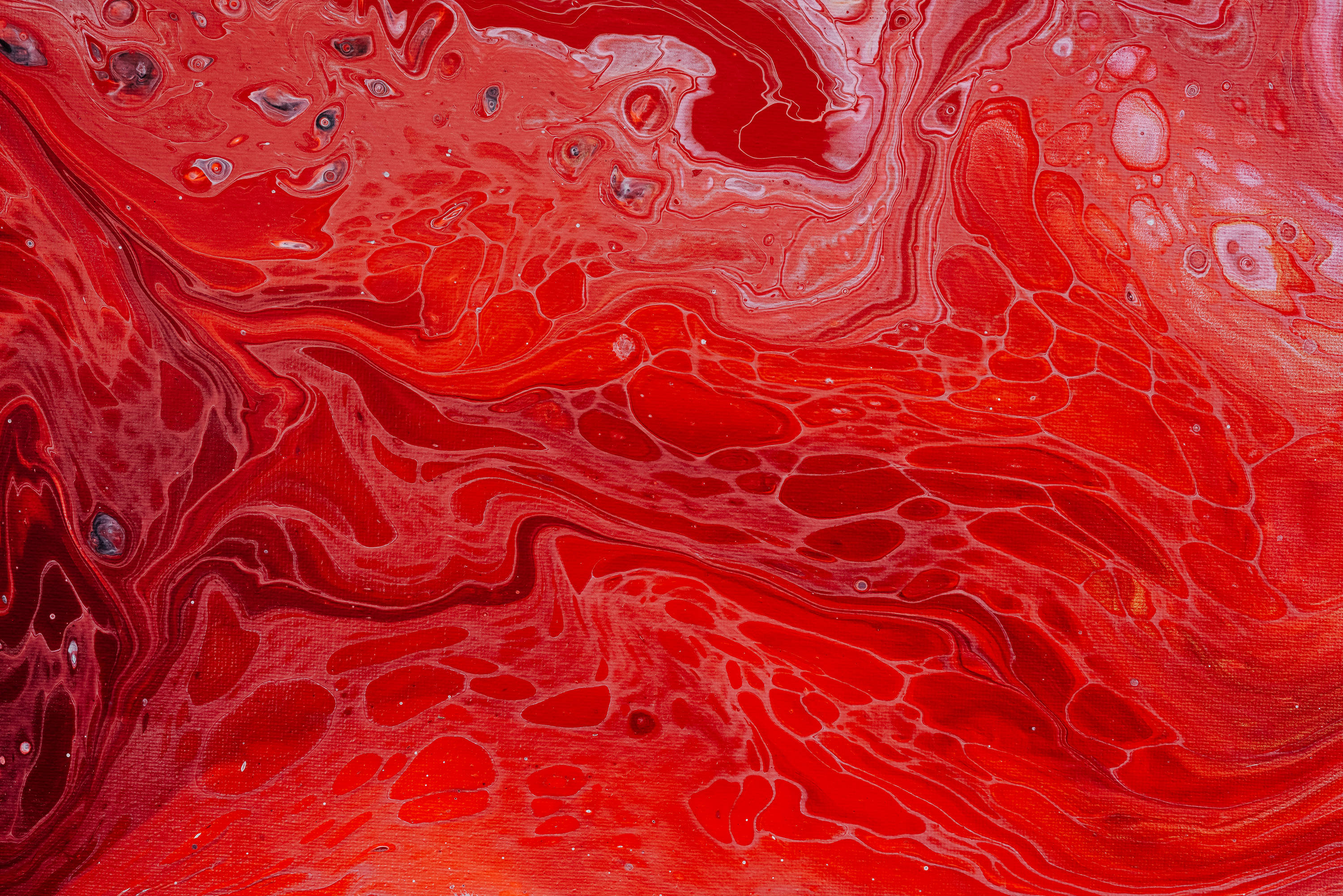 red abstract fluid painting, vibrant red, white paint, 2K Desktop Wallpaper