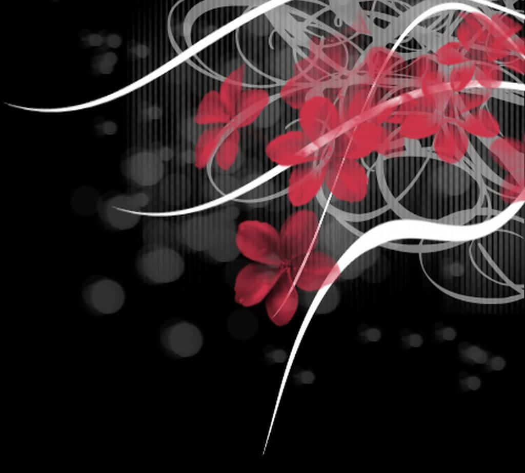 Red, White and Black Abstract Design, vibrant red flowers, stark black background, SD Desktop Wallpaper