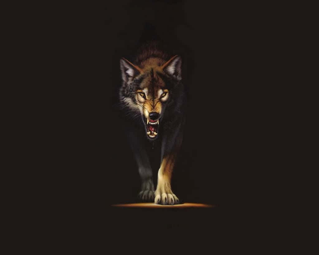 Red Wolf, glowing eyes, bared teeth, SD Desktop Wallpaper