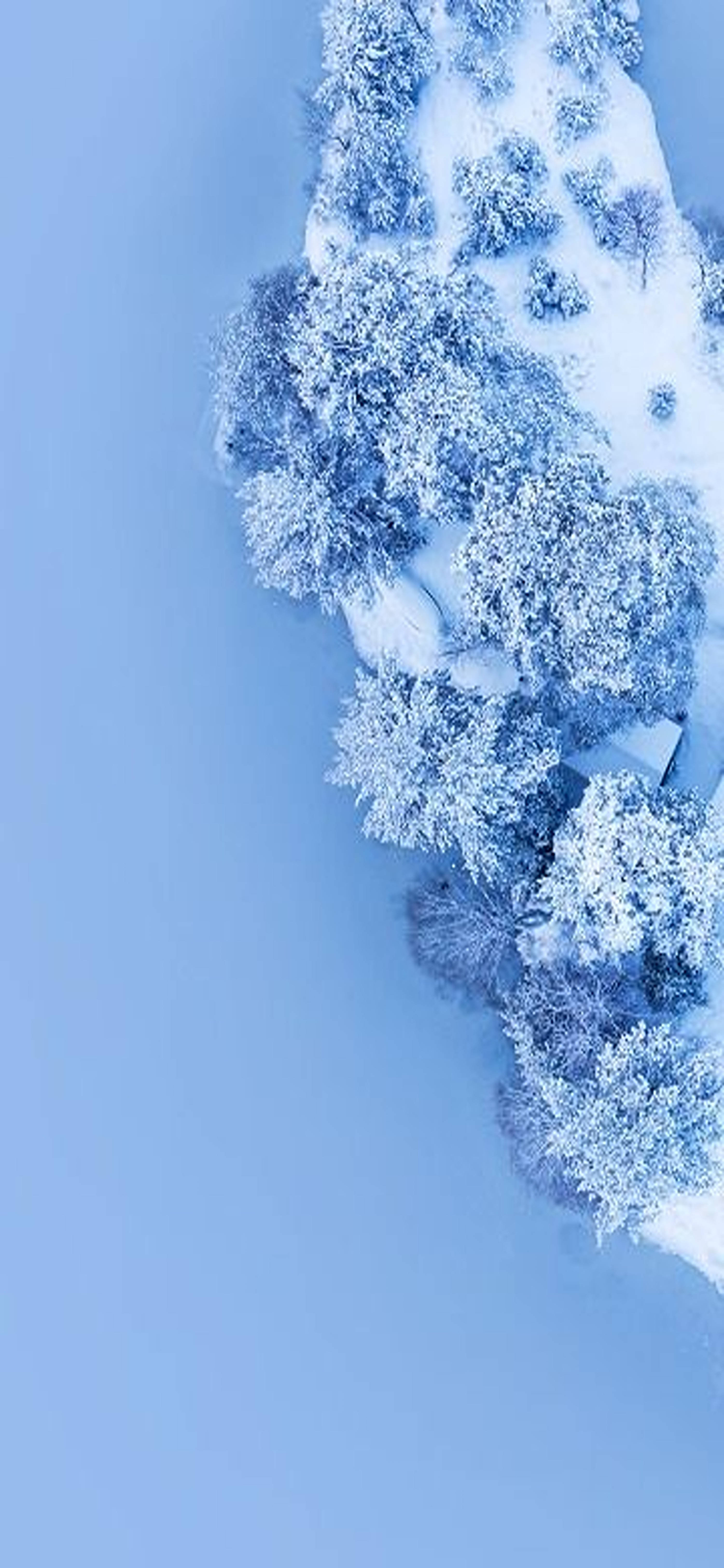 Redmi Note 9 Pro, snow-covered trees, small cabin, 5K Phone Wallpaper