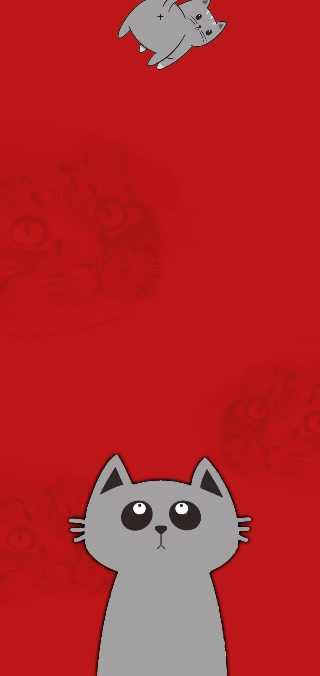 Redmi Note 9 Punch Hole, gray cat, bold red background, Full HD Phone Wallpaper