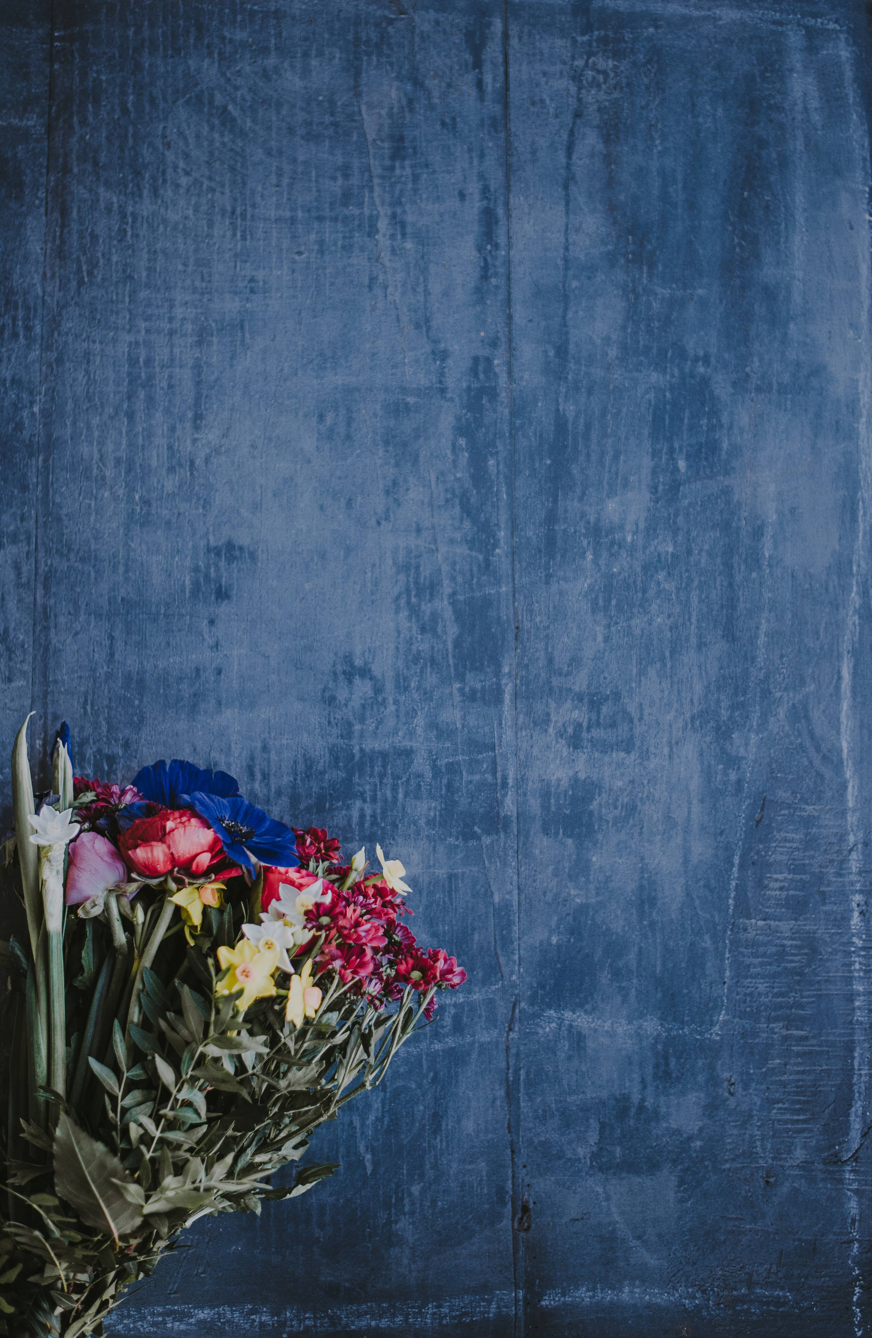 Redmi, 4K, flower background, 4K Phone Wallpaper