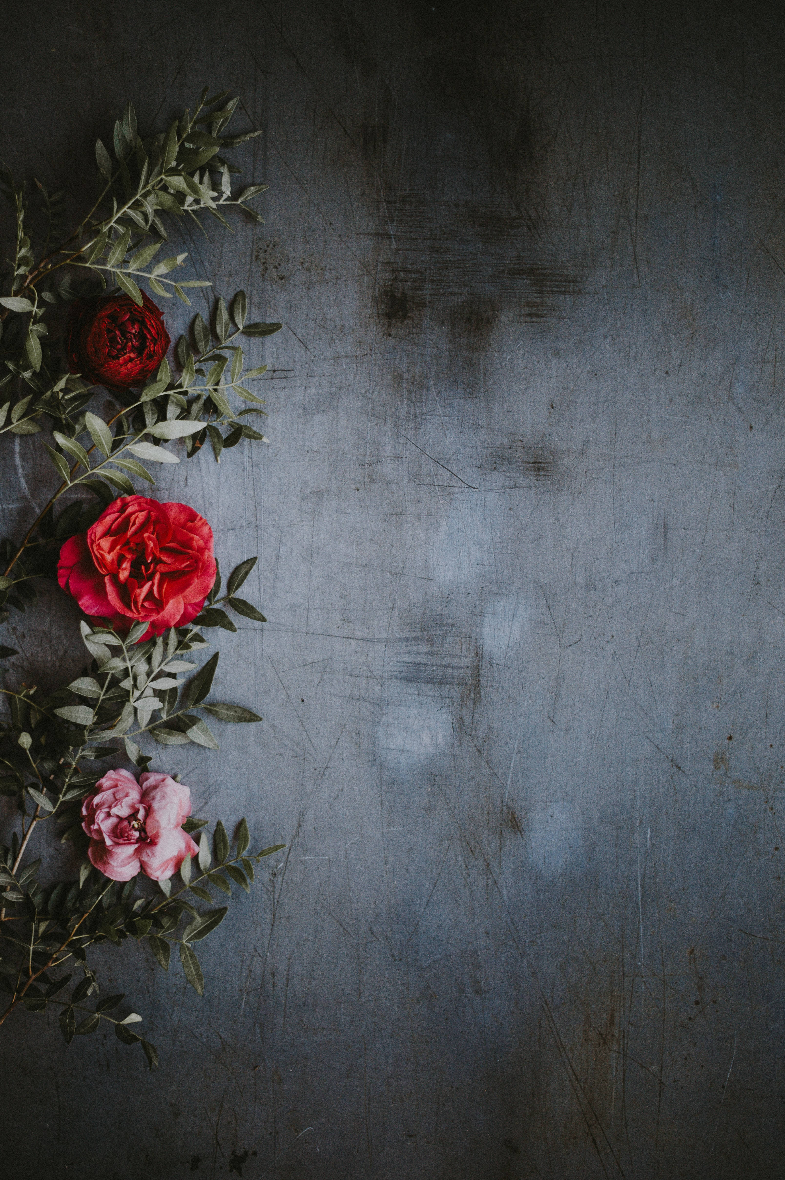 Redmi, 4K, roses, 4K Phone Wallpaper