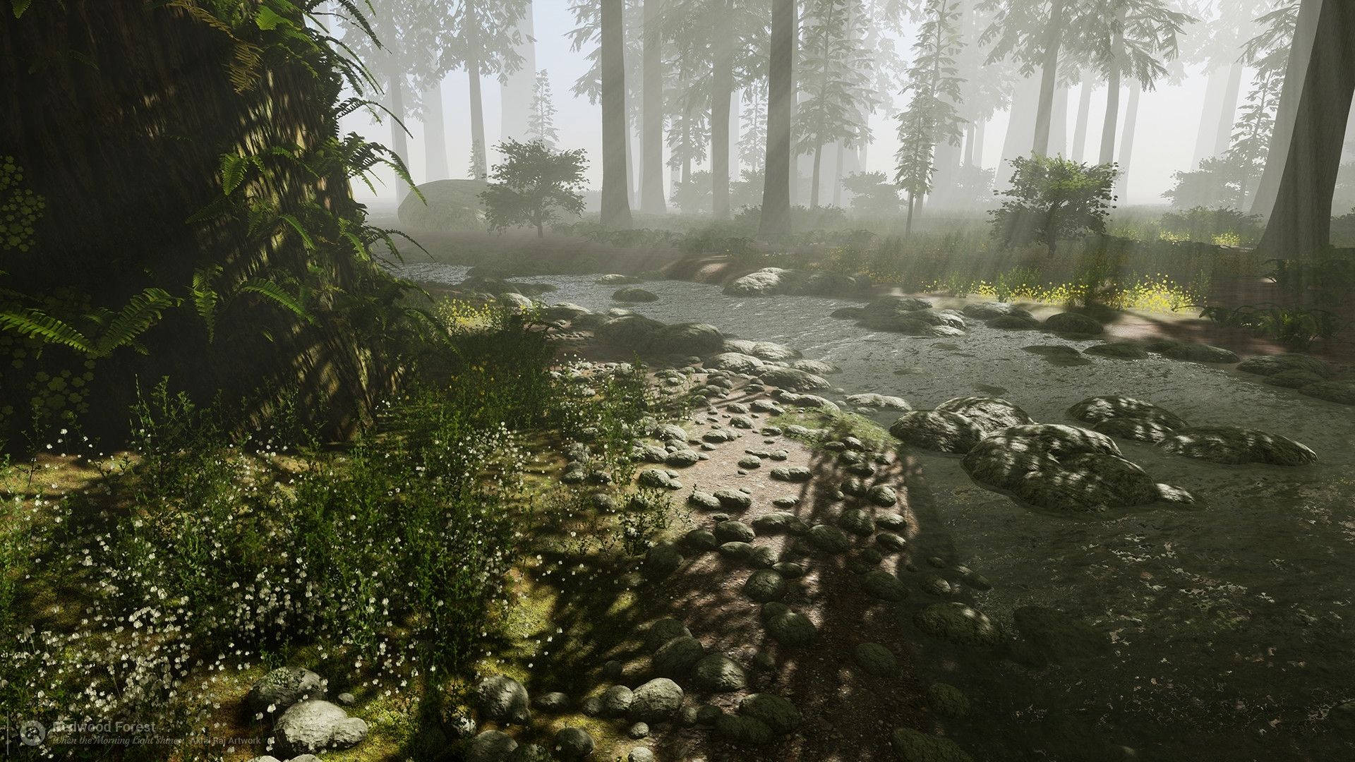 dark redwood forest, river, misty forest path, Full HD Desktop Wallpaper