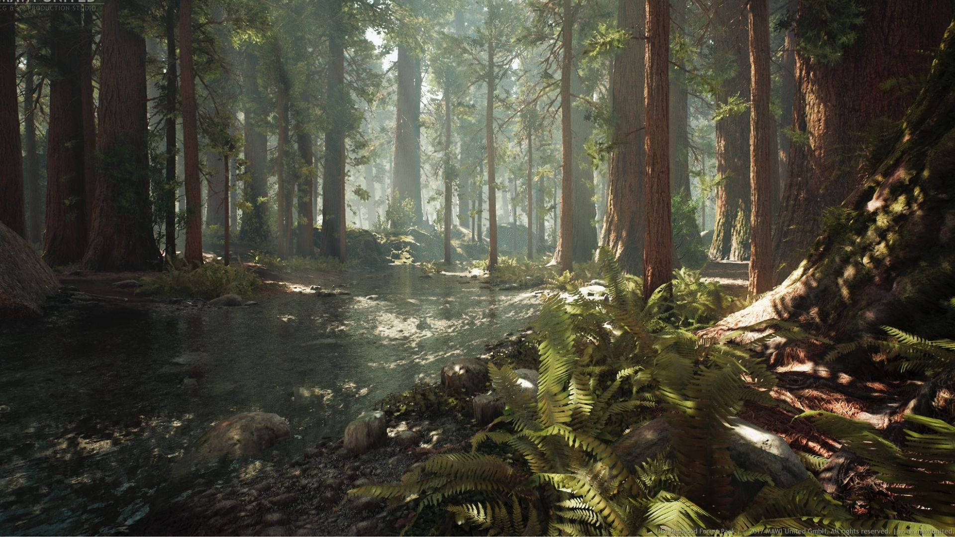 Redwood Forest, flowing river, sunlight, Full HD Desktop Wallpaper
