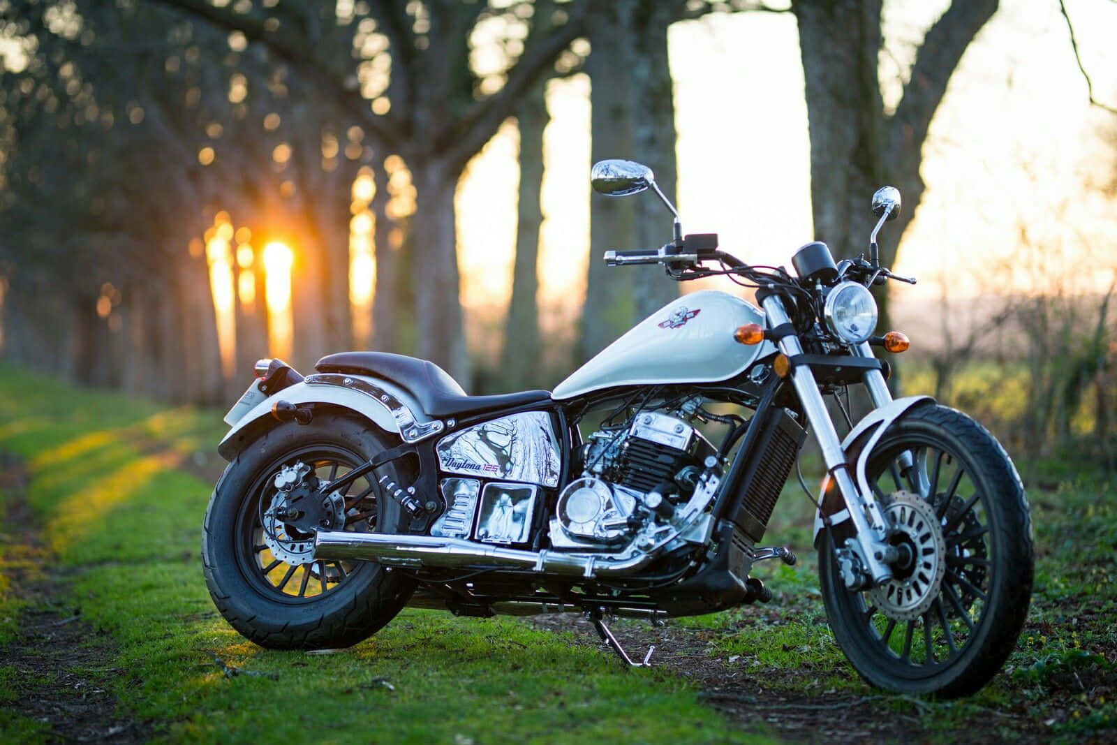Regal Raptor, motorcycle, sunset park, HD Desktop Wallpaper