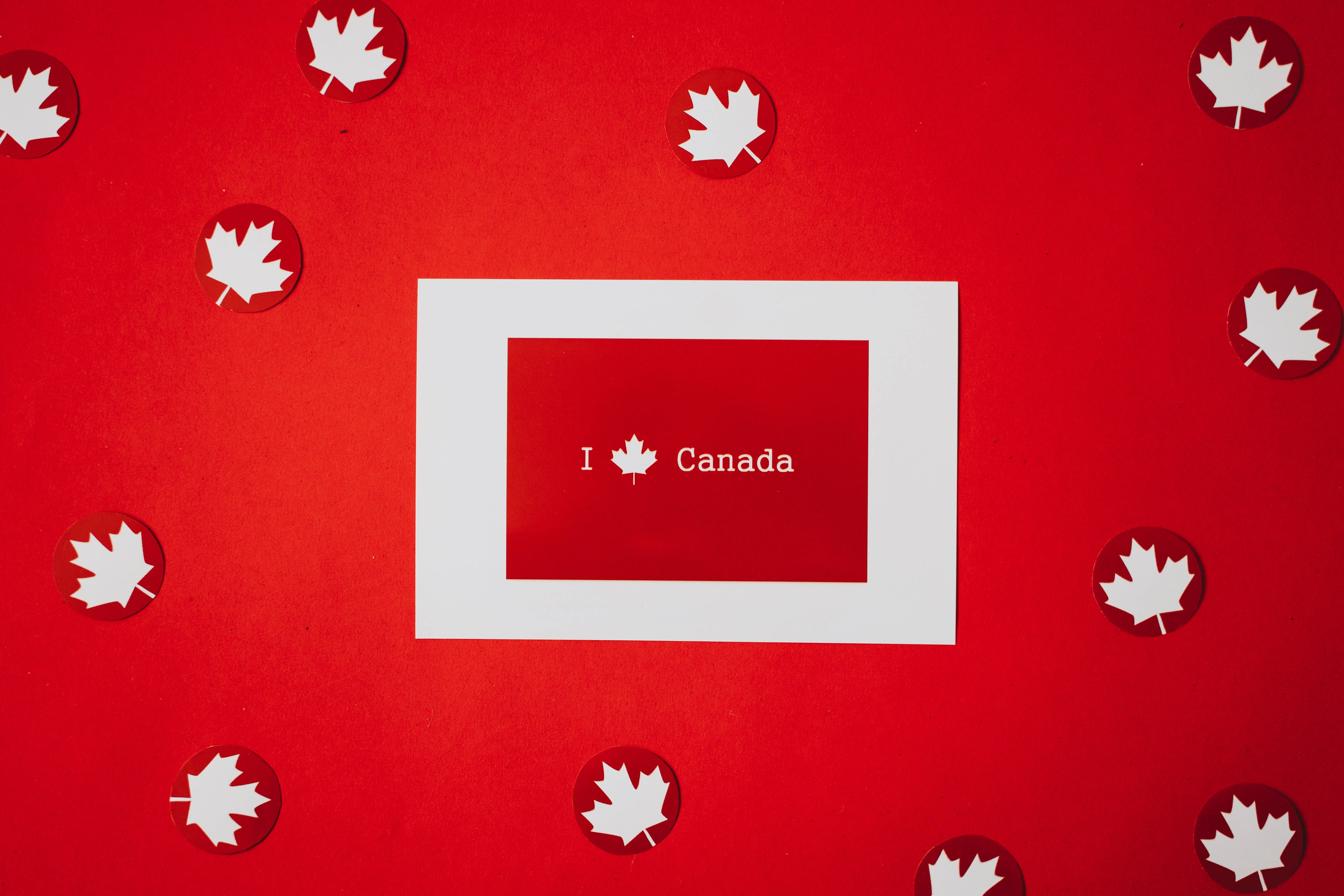 Canadian Maple Leaves Love, I ❤ Canada, white-framed card, 4K Desktop Wallpaper