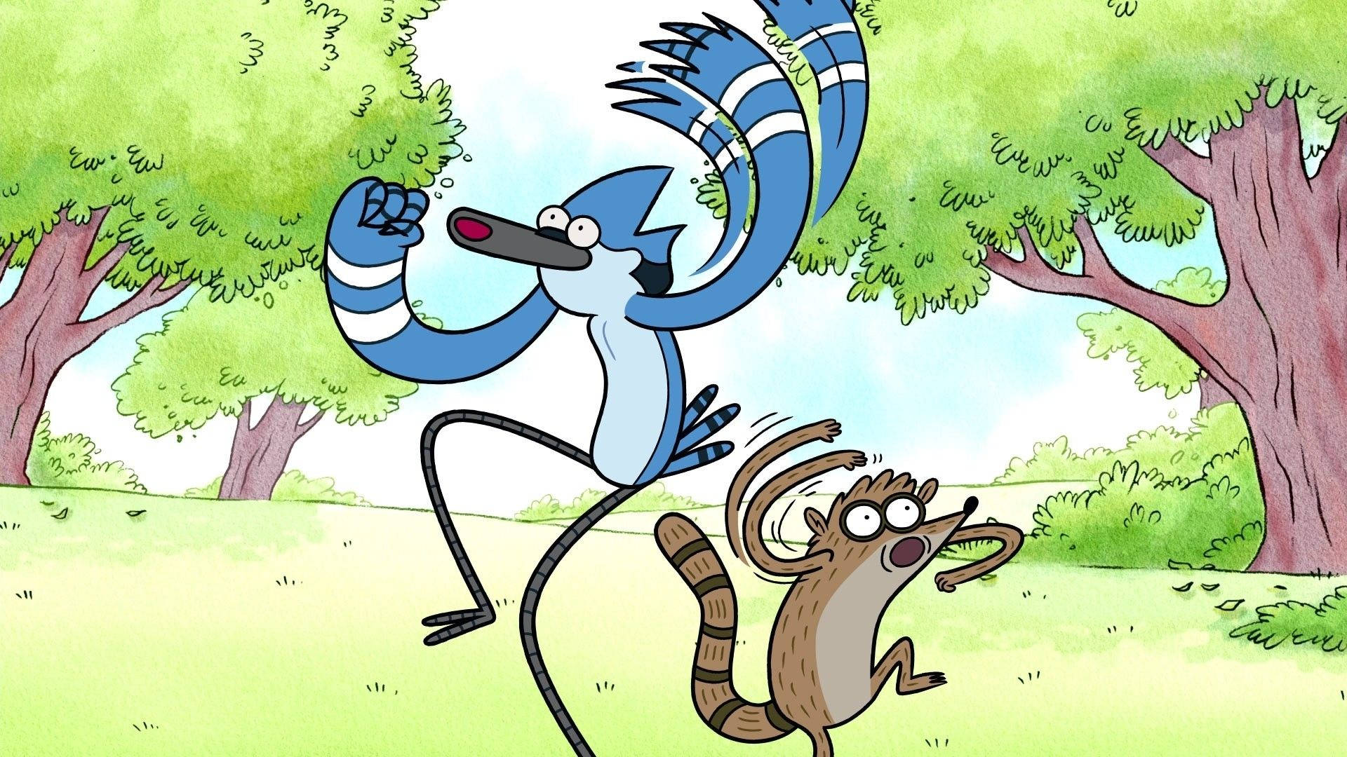 Regular Show, blue jay, raccoon, Full HD Desktop Wallpaper