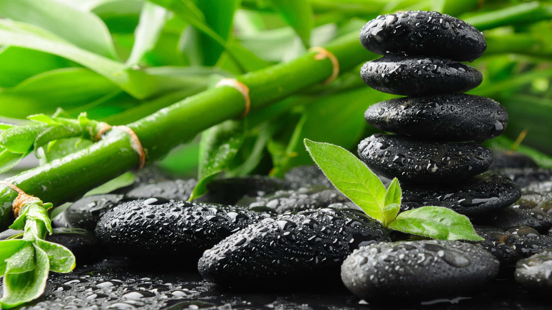 Reiki, 1920 x 1080, wet black stones, Full HD Desktop Wallpaper