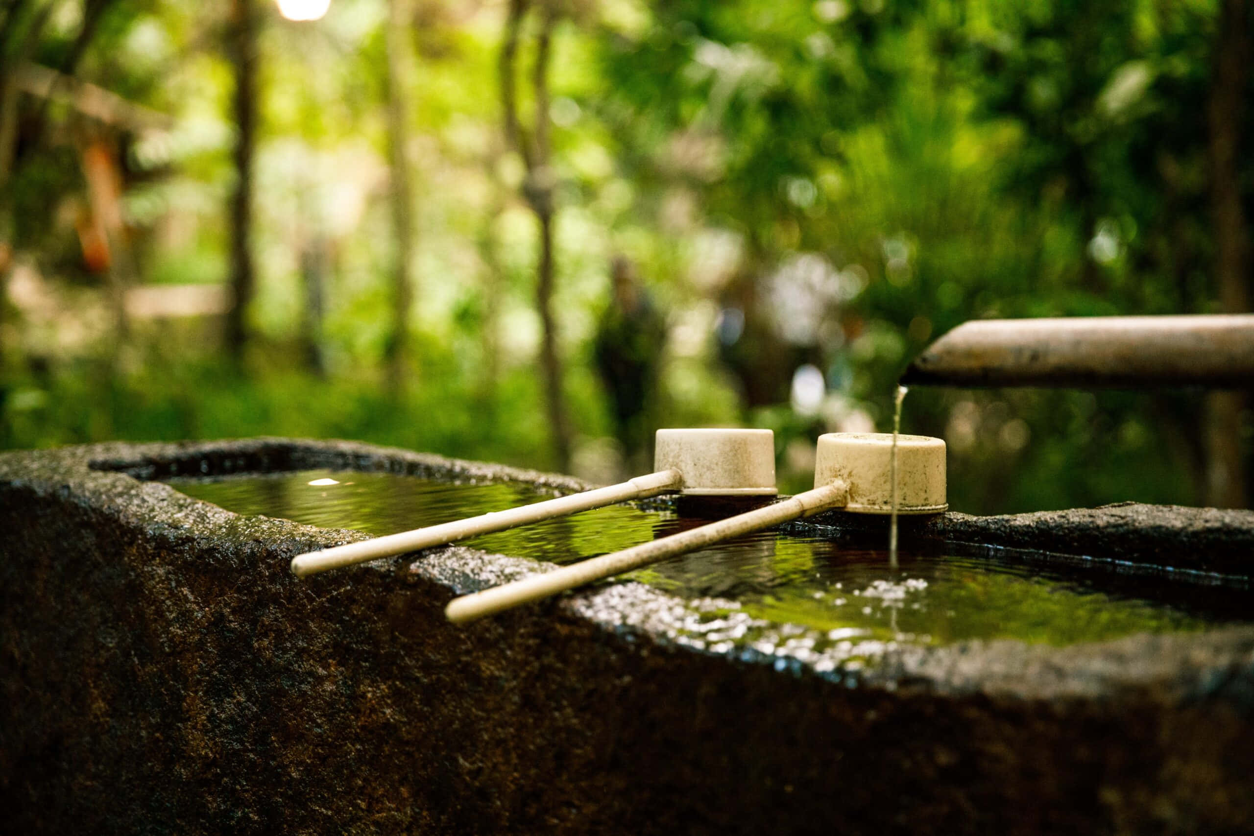 Reiki, stone water basin, lush green forest, 2K Desktop Wallpaper