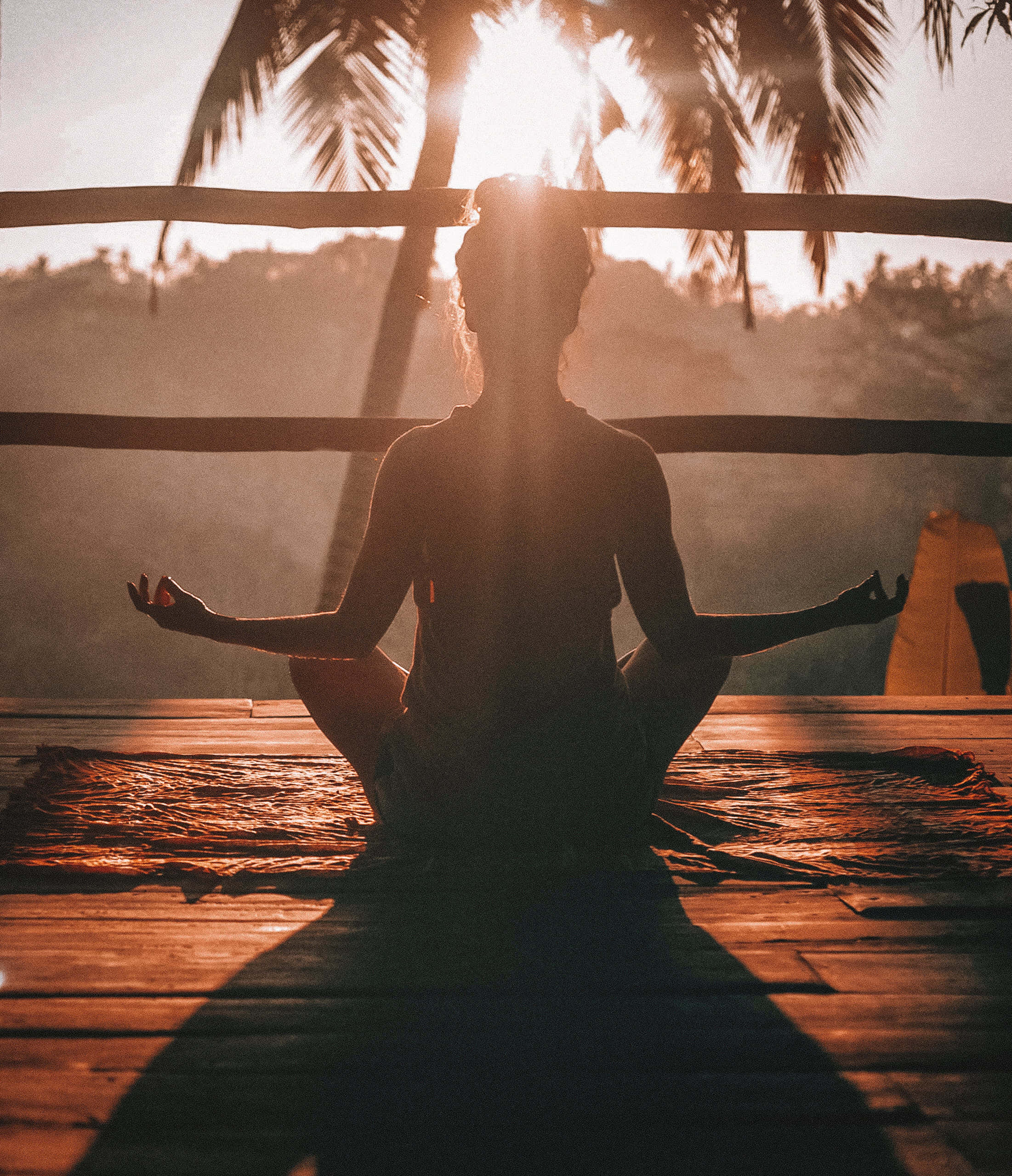 Reiki 2202, 2560, golden sunset, 2K Phone Wallpaper