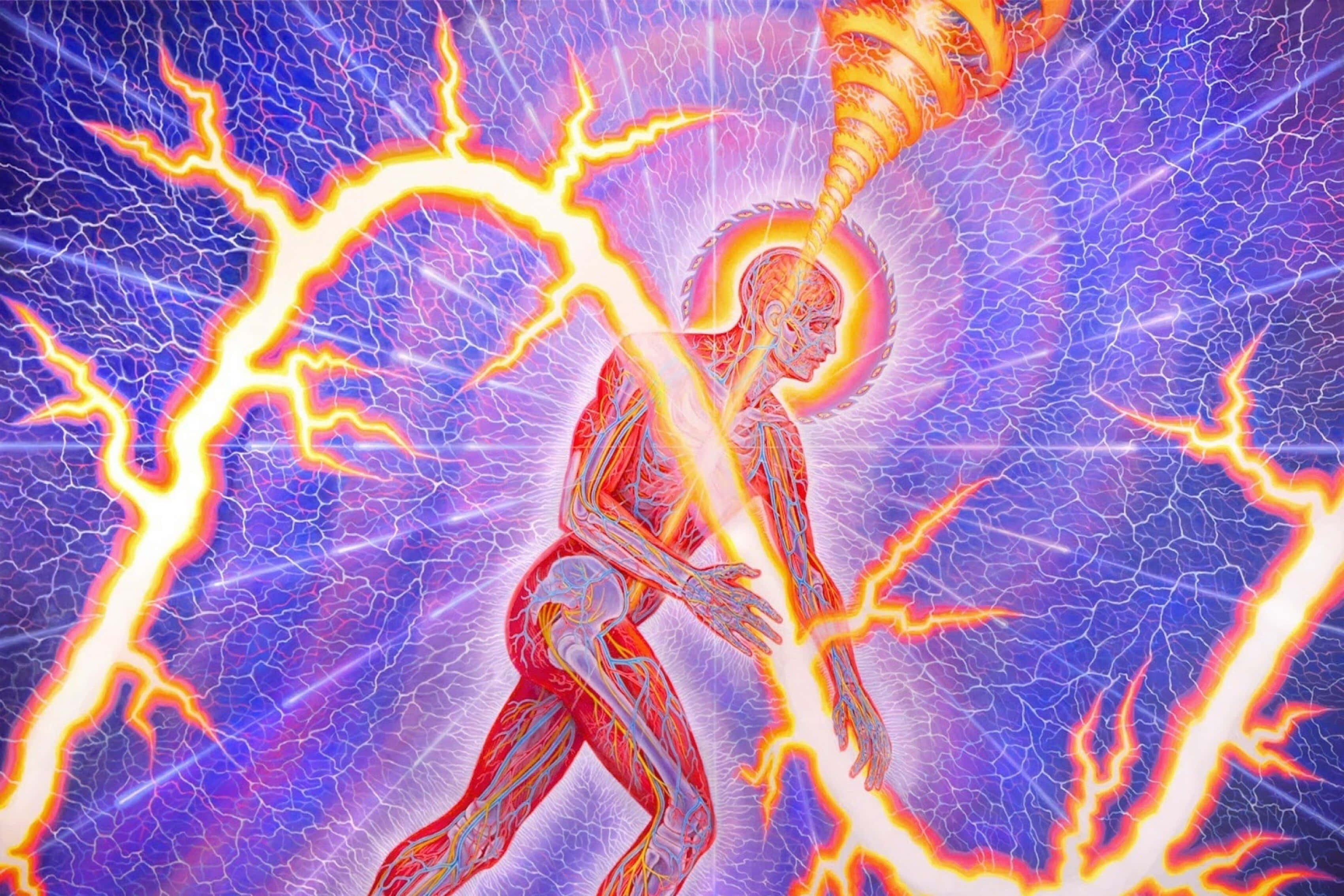 Reiki, glowing human figure, visible anatomy, 2K Desktop Wallpaper