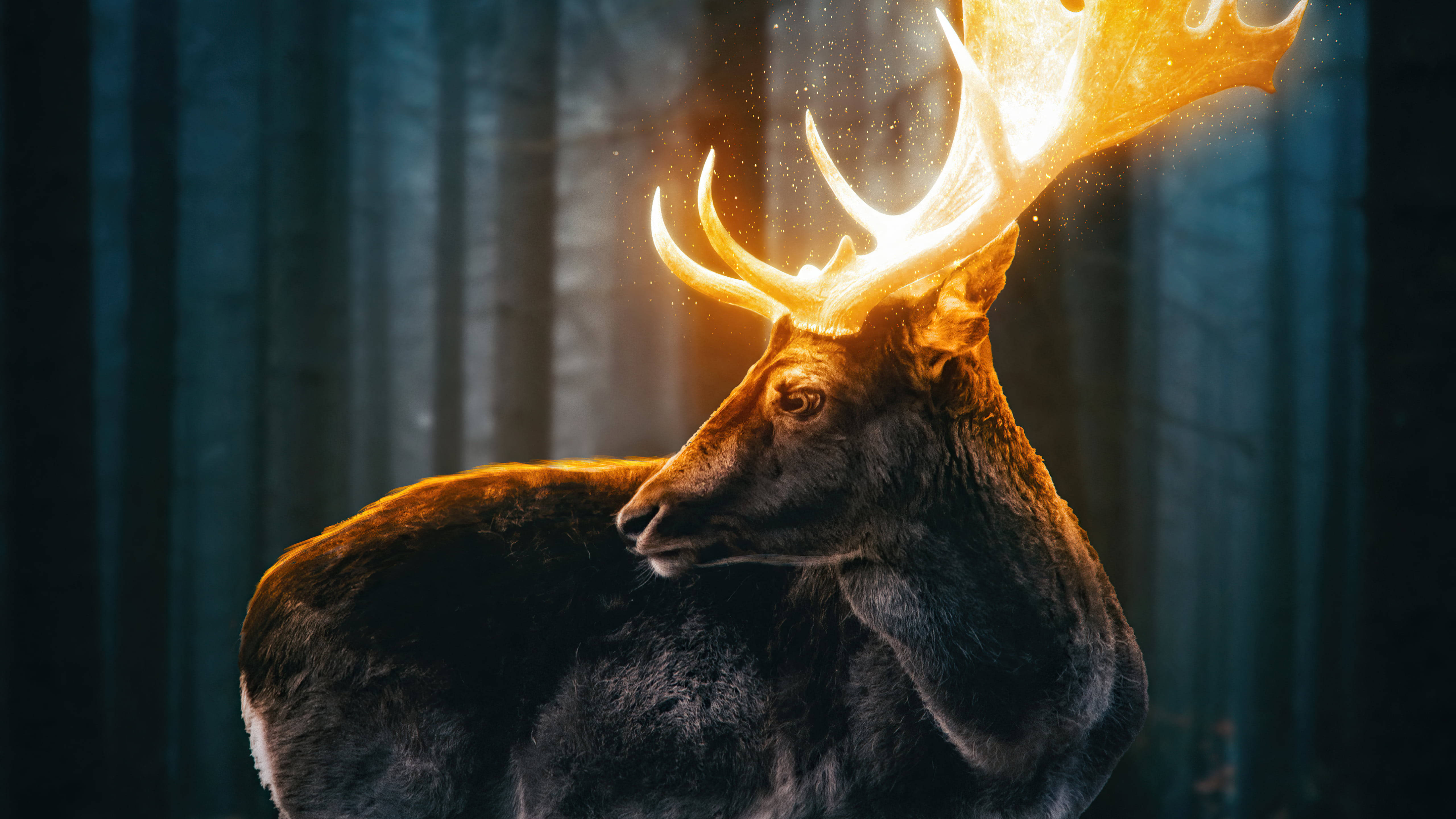 reindeer, glowing golden antlers, dark forest, 5K Desktop Wallpaper