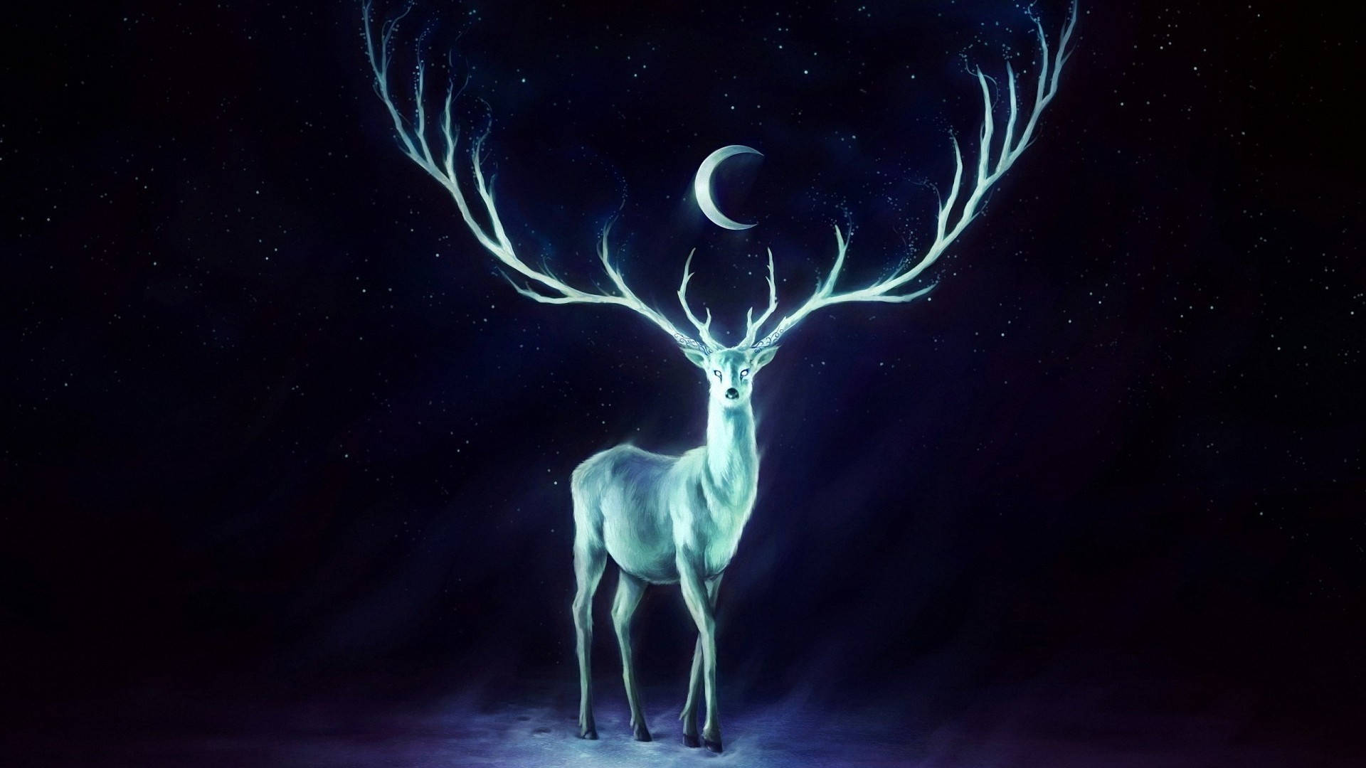 glowing reindeer, luminous white stag, glowing antlers, Full HD Desktop Wallpaper
