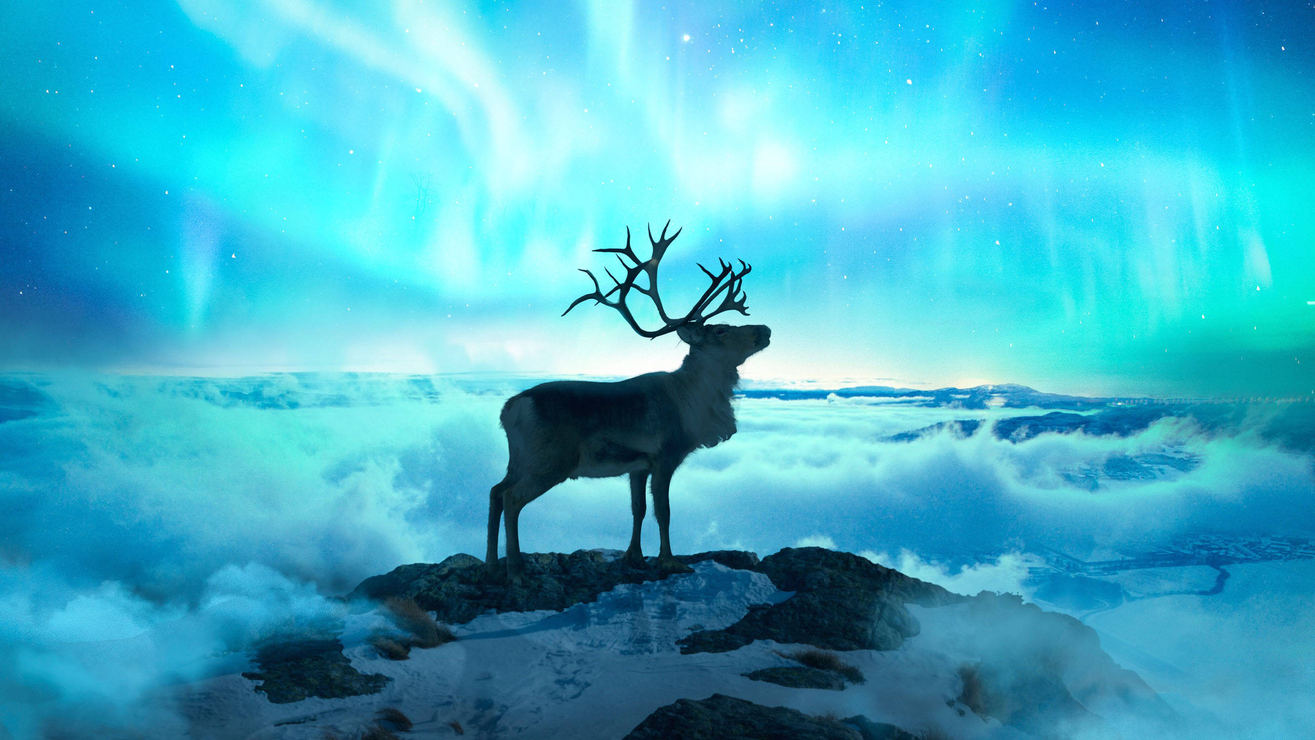 reindeer, northern lights, snowy cliff, 2K Desktop Wallpaper