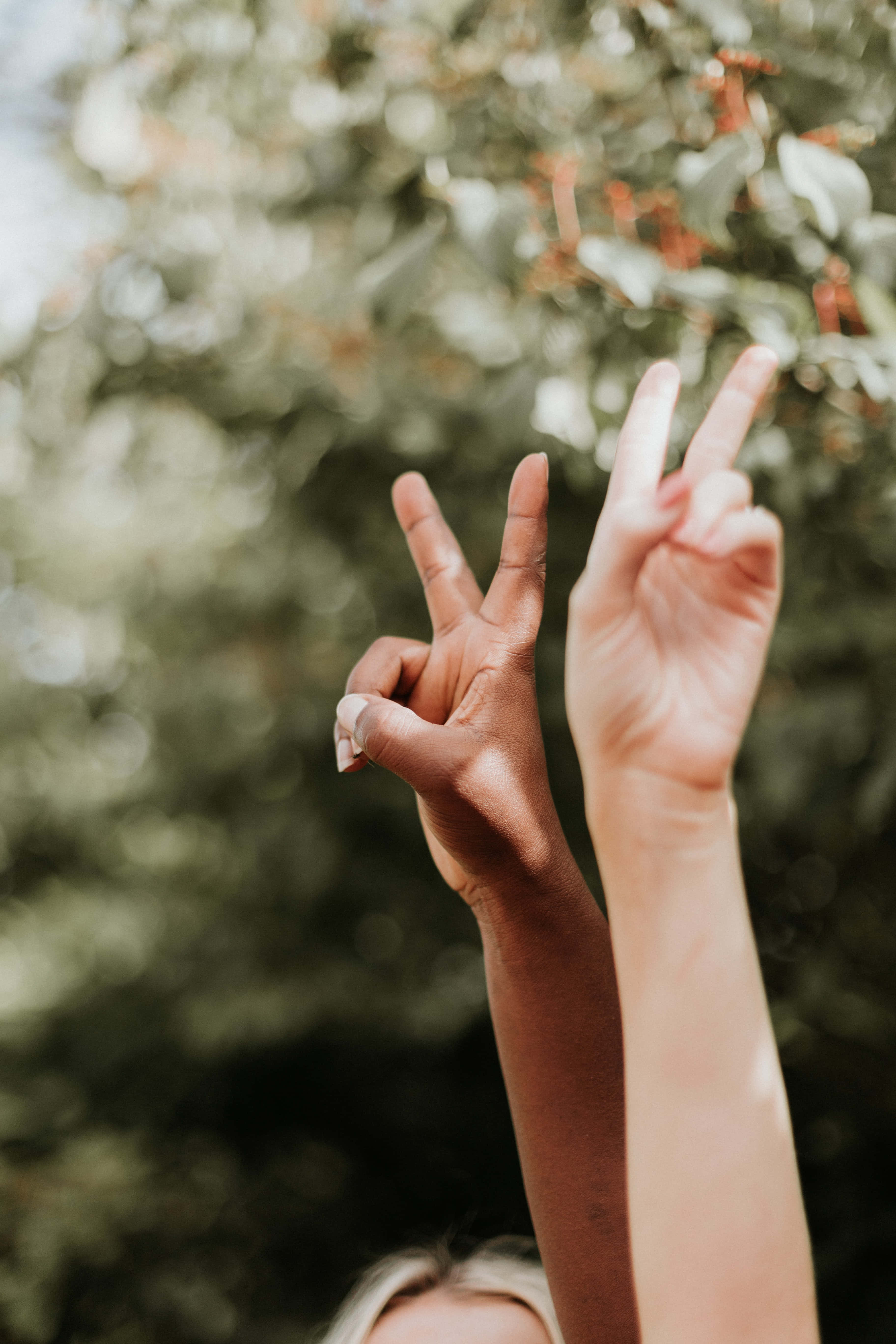 peace sign, green foliage background, two hands, 5K Phone Wallpaper