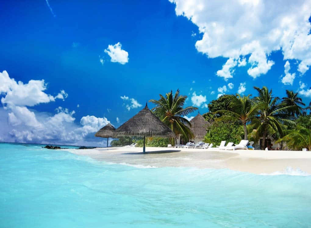 tropical beach, turquoise waters, white sand, SD Desktop Wallpaper