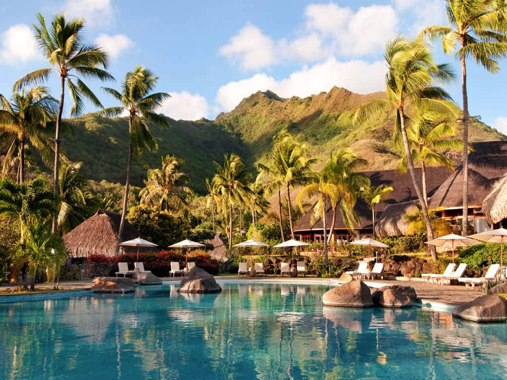 resort pool, palm trees, thatched huts, SD Desktop Wallpaper