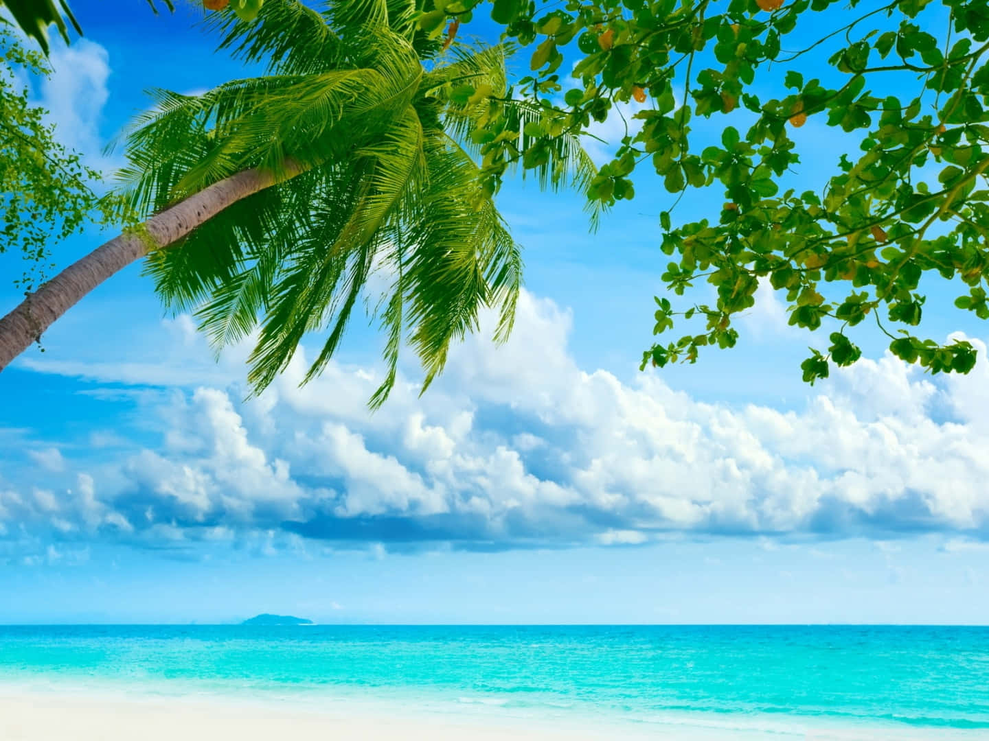 beach resort, tropical beach scene, turquoise waters, HD Desktop Wallpaper