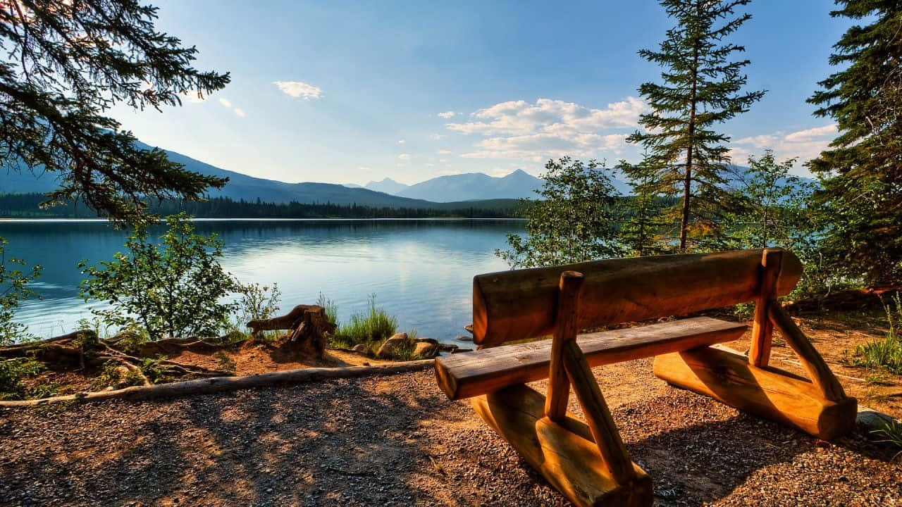 rustic wooden bench, tranquil lake, evergreen trees, HD Desktop Wallpaper