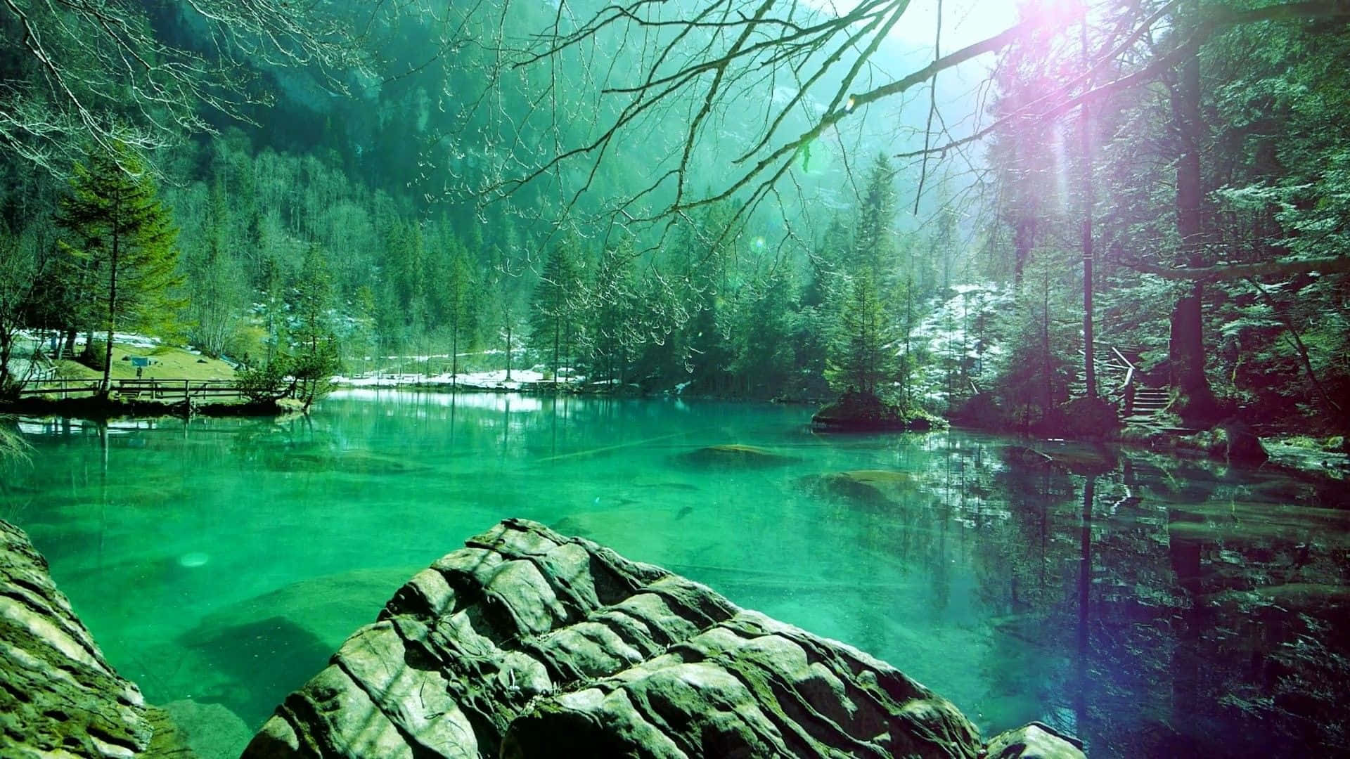 emerald lake, snowy forest, sunlight filtering through bare branches, Full HD Desktop Wallpaper