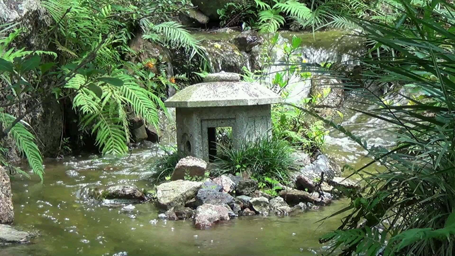 stone lantern, mossy stream, lush ferns, Full HD Desktop Wallpaper