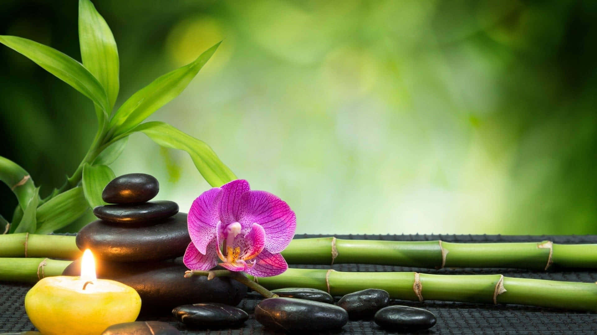 purple orchid, stacked stones, bamboo stalks, Full HD Desktop Wallpaper
