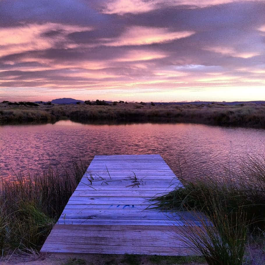 wooden dock, calm lake, vibrant pink and purple sunset sky, SD Desktop Wallpaper