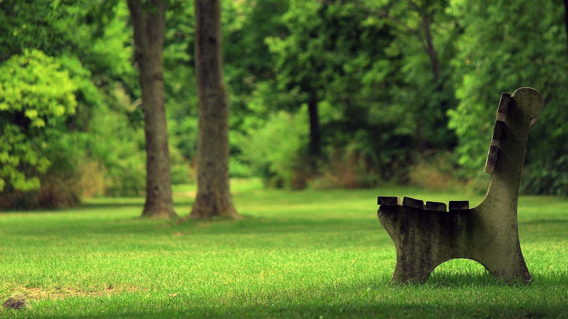 stone bench, sunlit grassy park, lush green trees, Full HD Desktop Wallpaper