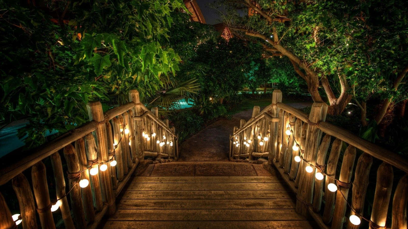wooden staircase, warm string lights, lush greenery, HD Desktop Wallpaper