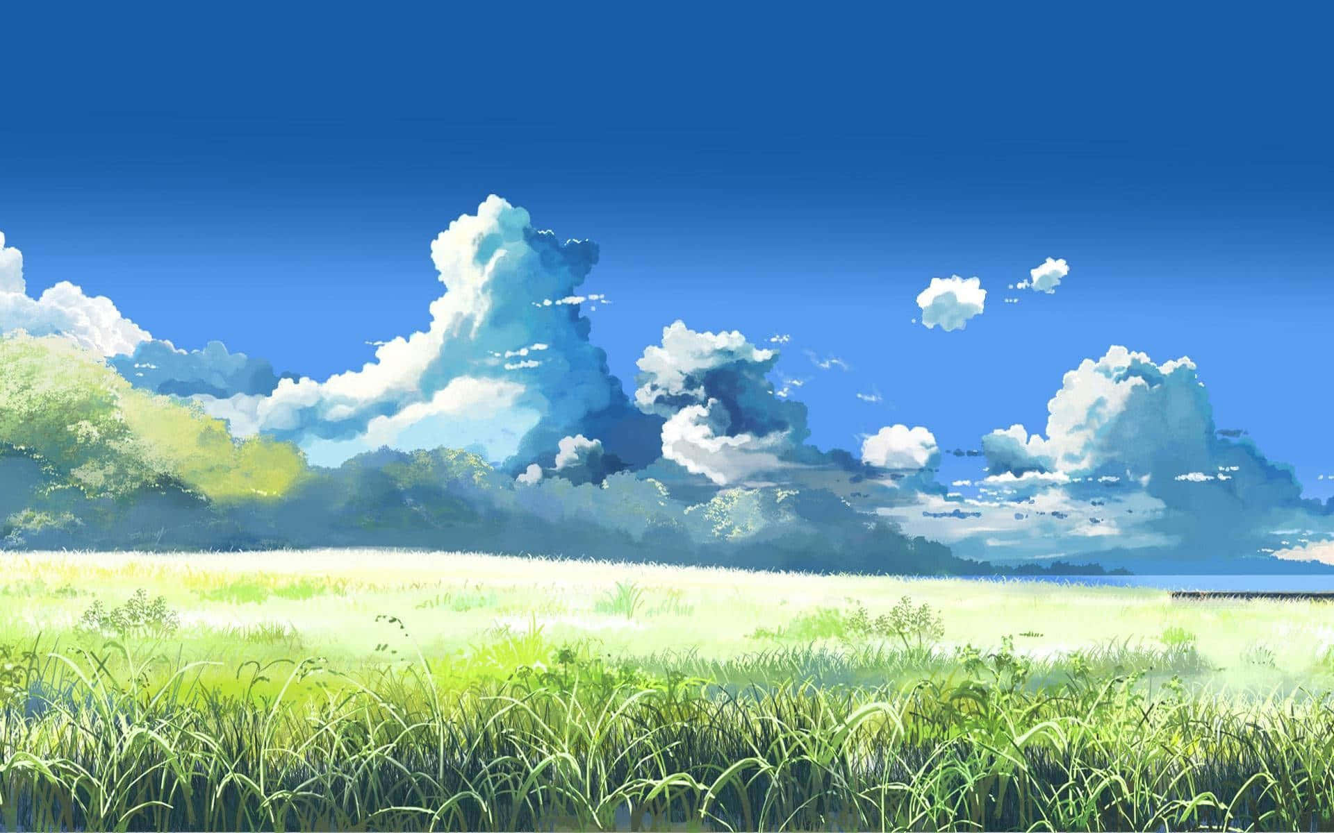 Green Field, beautiful anime scenery, vast green grassland, Full HD Desktop Wallpaper