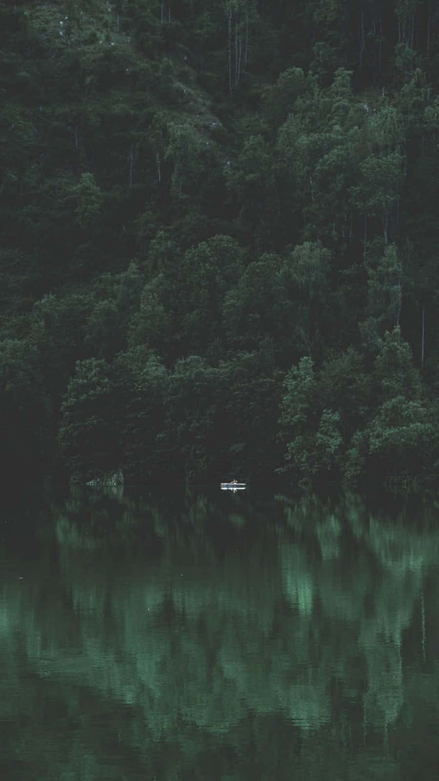 iPhone, dark forest, river, HD Phone Wallpaper