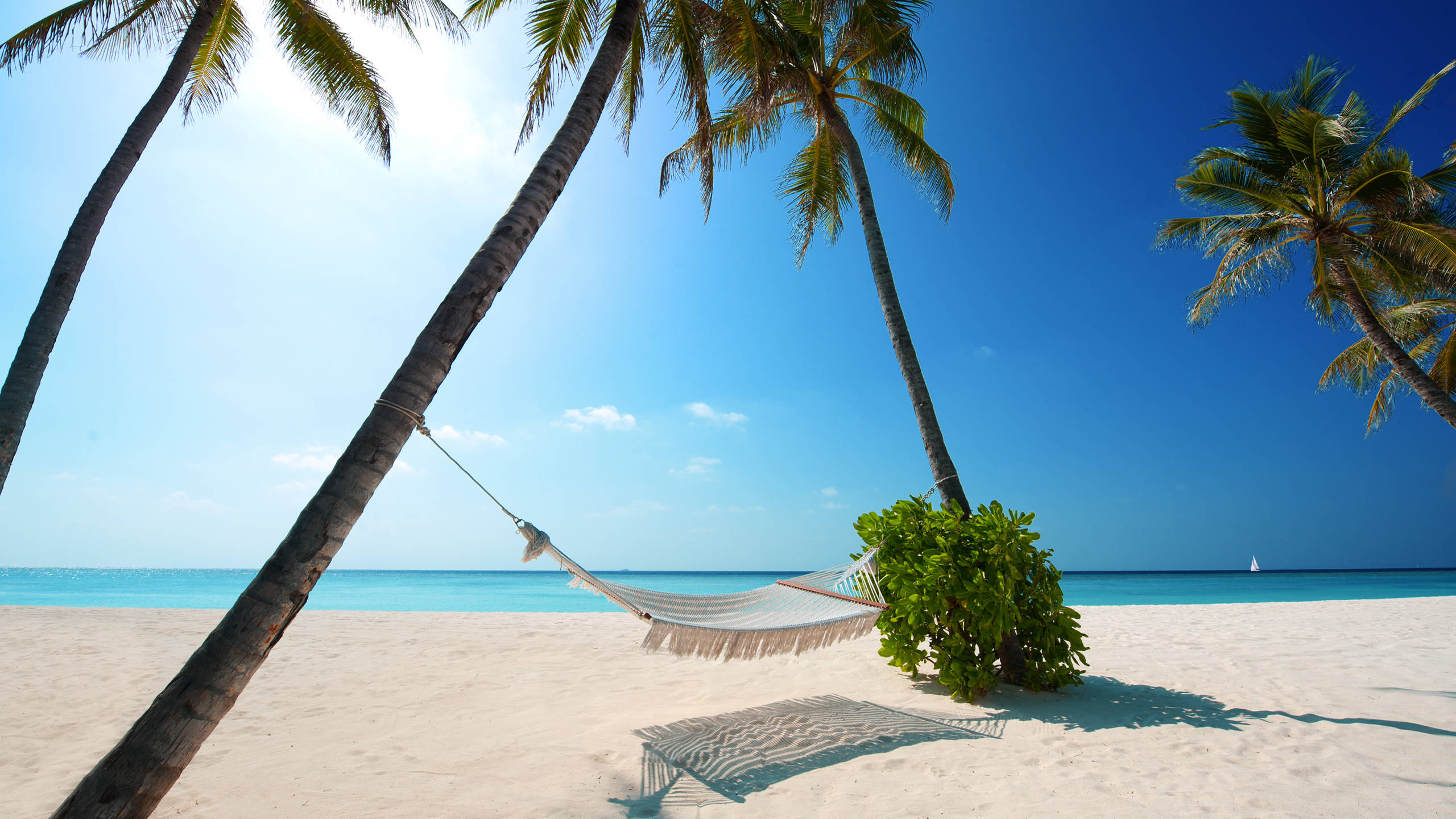 white hammock, palm trees, pristine sandy beach, 2K Desktop Wallpaper