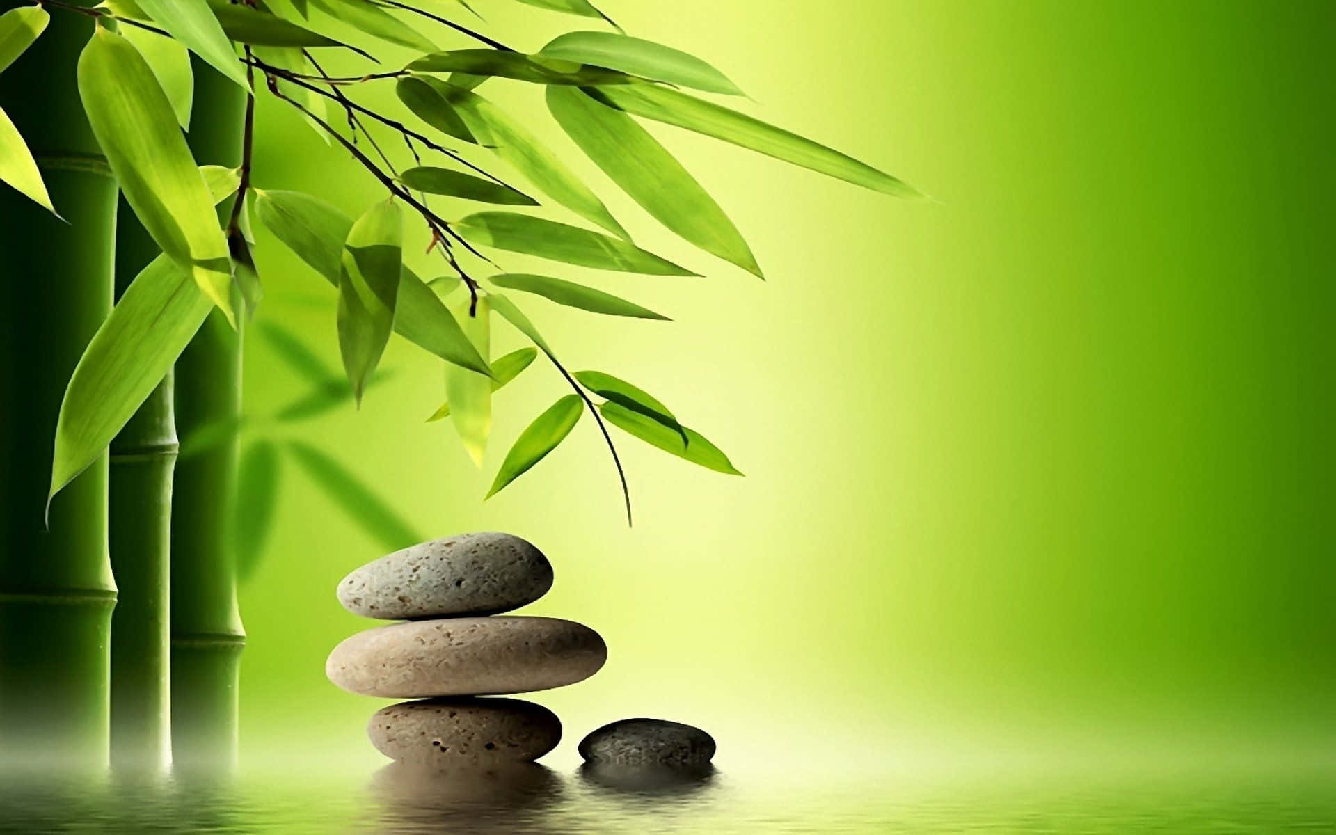 Zen Desktop, Stone Stack, Bamboo Plants, Full HD Desktop Wallpaper