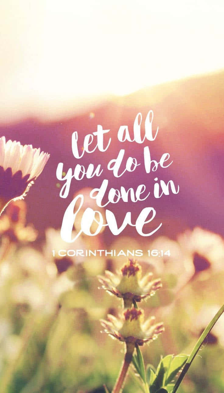 1 Corinthians 16:14, soft sunlit field, wildflowers, HD Phone Wallpaper