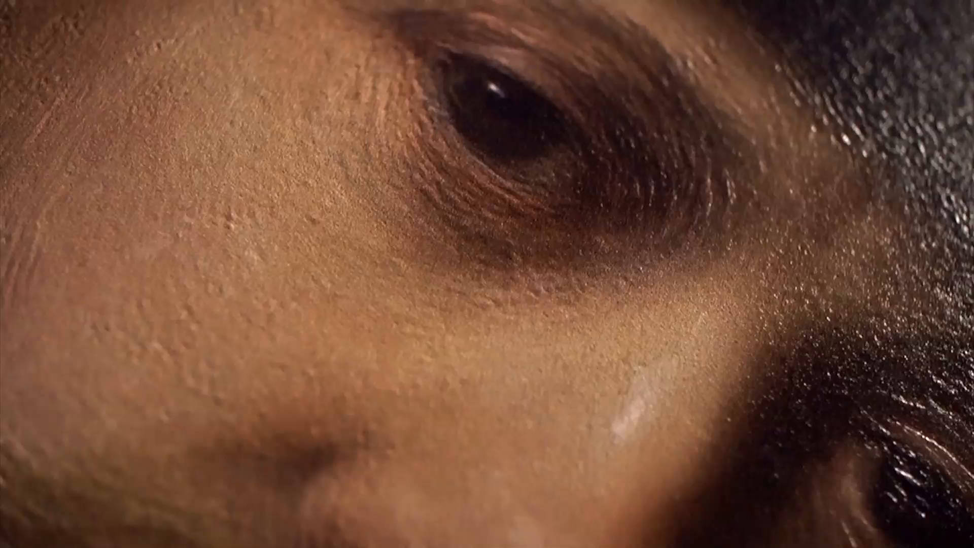 Rembrandt, oil on canvas painting, human eye, Full HD Desktop Wallpaper