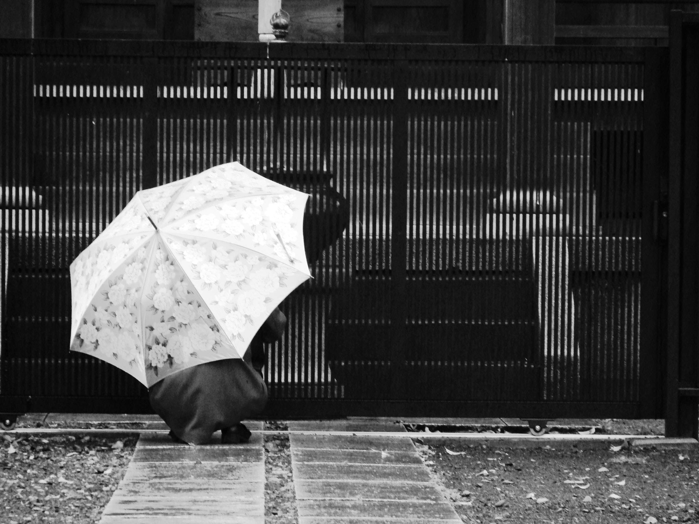 floral-patterned umbrella, wet stone path, dark wooden gate, Full HD Desktop Wallpaper