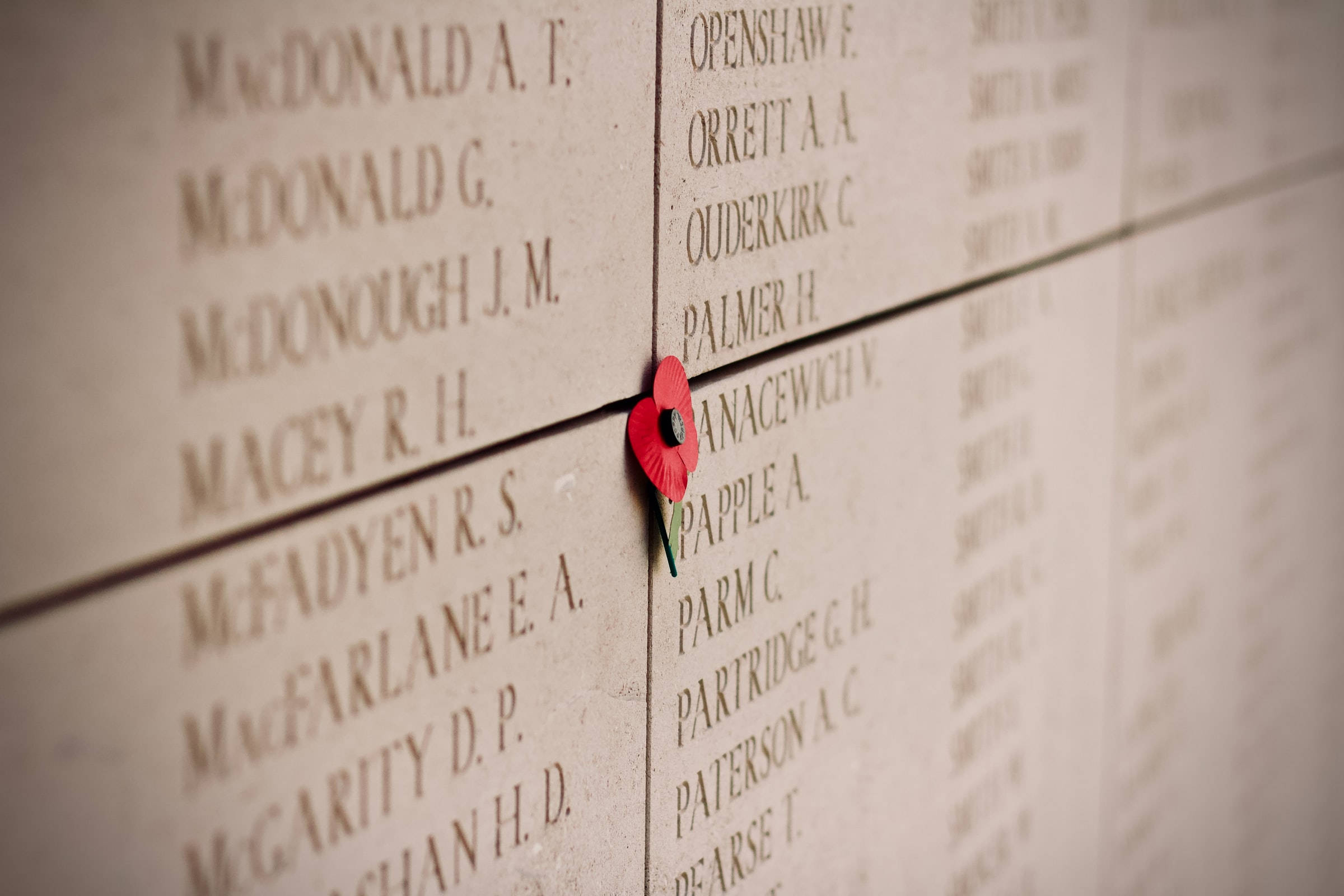 Remembrance Day, red poppy, stone memorial wall, Full HD Desktop Wallpaper