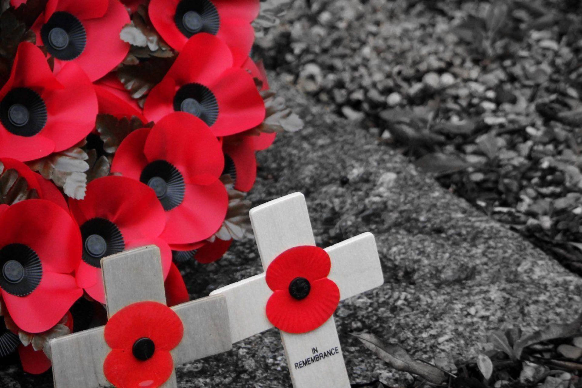 Remembrance Day, poppies, wooden cross, Full HD Desktop Wallpaper