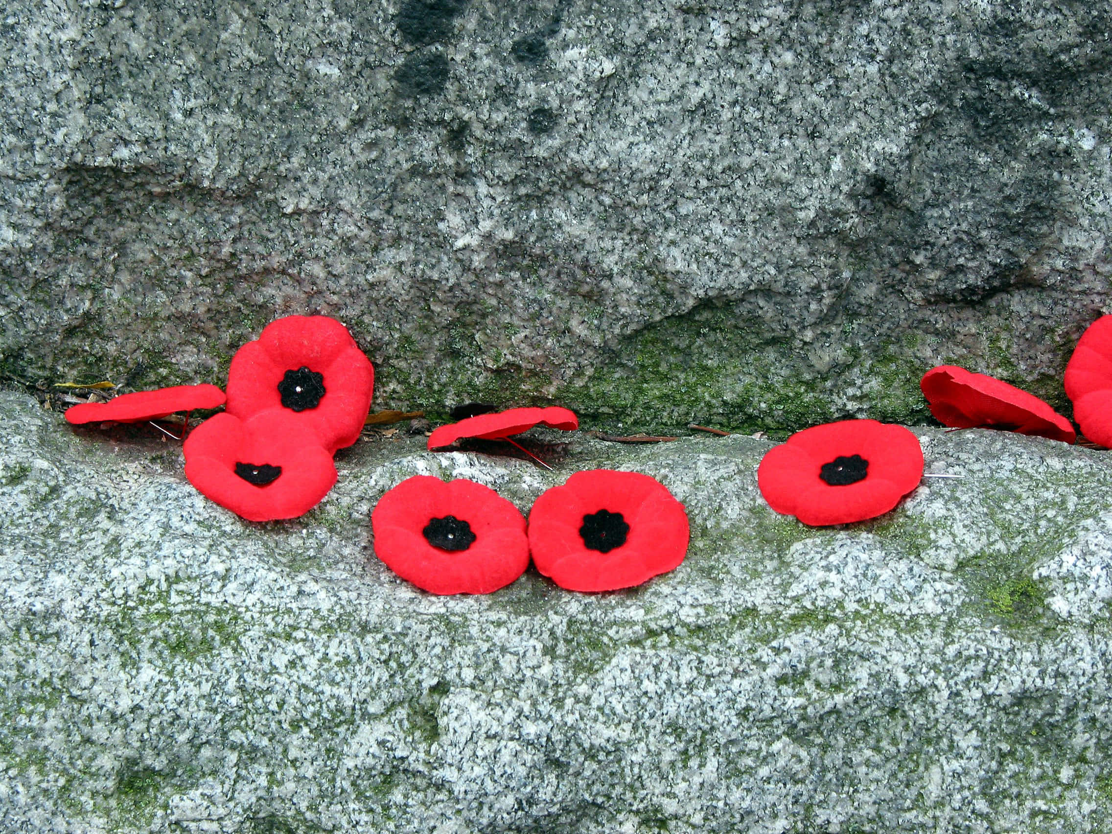Remembrance Day, poppies, statue, Full HD Desktop Wallpaper