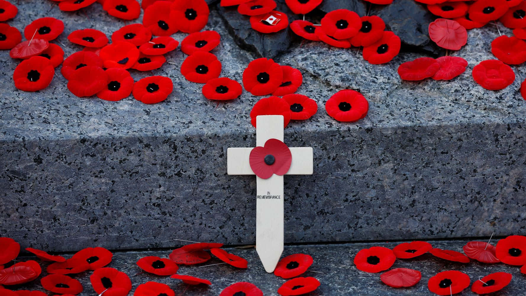 white cross, red poppy, gray stone ledge, HD Desktop Wallpaper