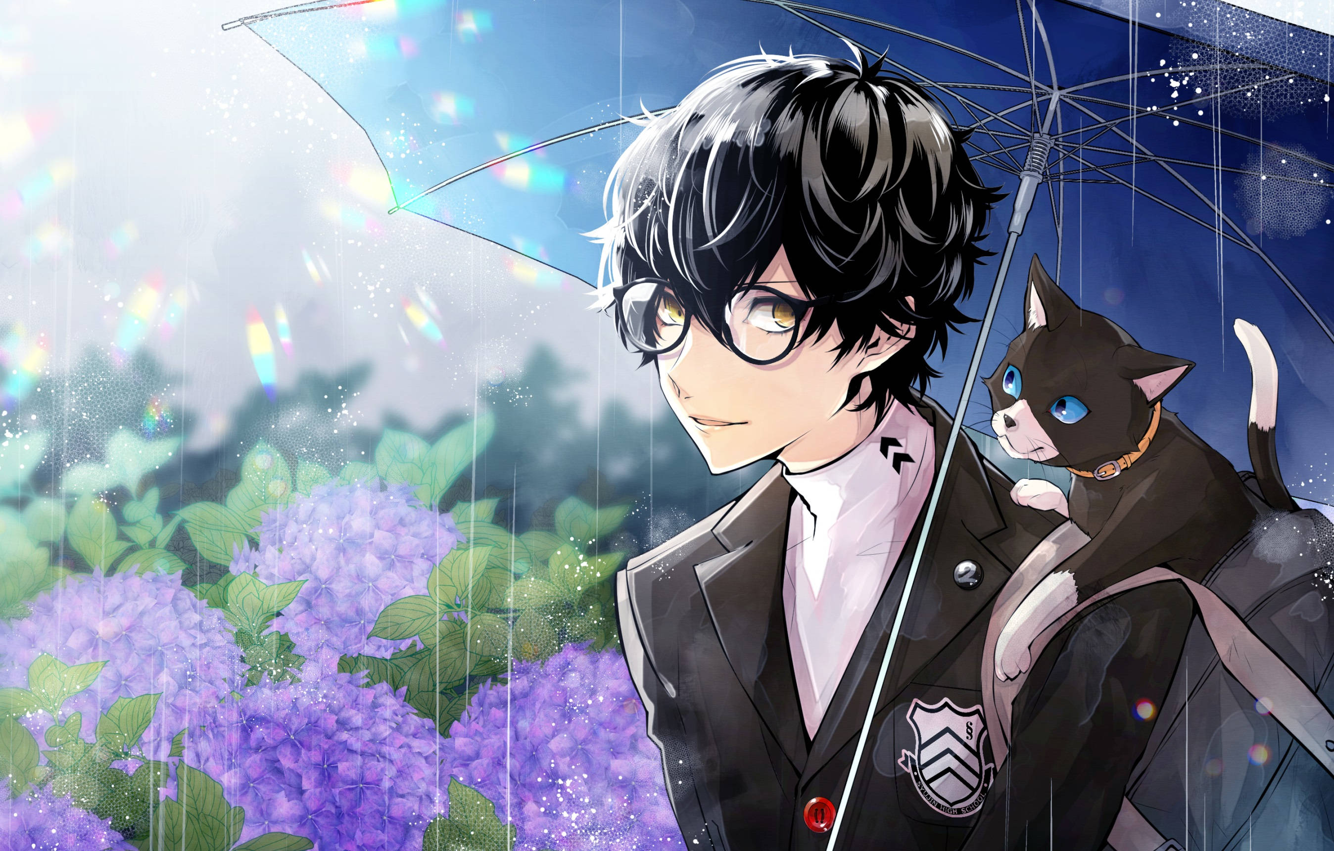 Ren Amamiya, umbrella, black cat, 2K Desktop Wallpaper