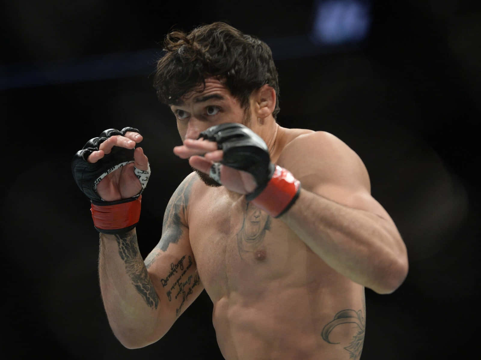 Renan Barão, fighting stance, tattoos, HD Desktop Wallpaper