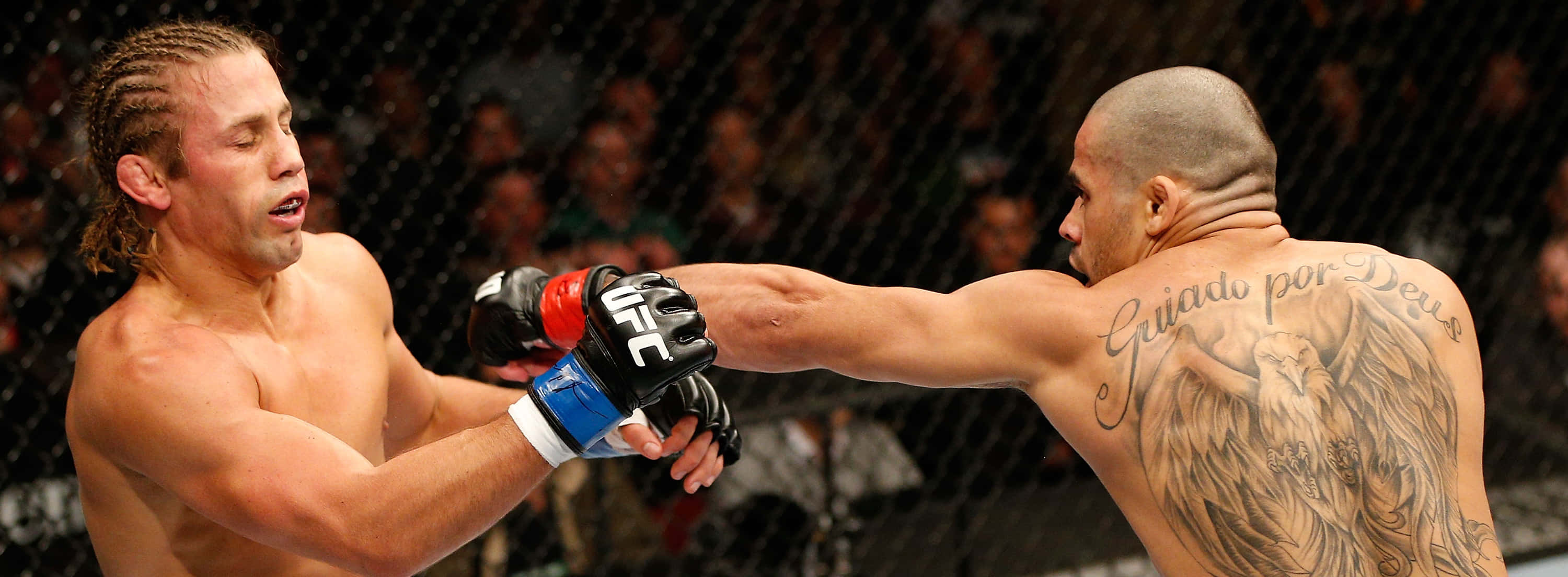 Renan Barão, MMA fighters, cage match, 2K Desktop Wallpaper